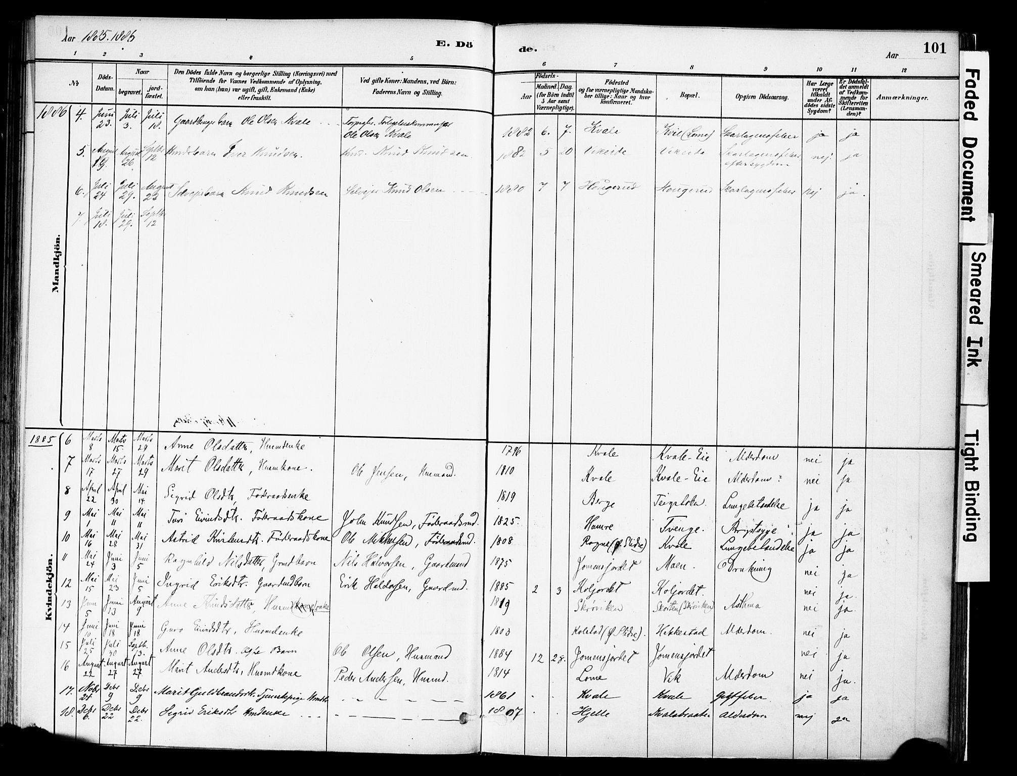 Vestre Slidre prestekontor, AV/SAH-PREST-136/H/Ha/Haa/L0004: Parish register (official) no. 4, 1881-1911, p. 101