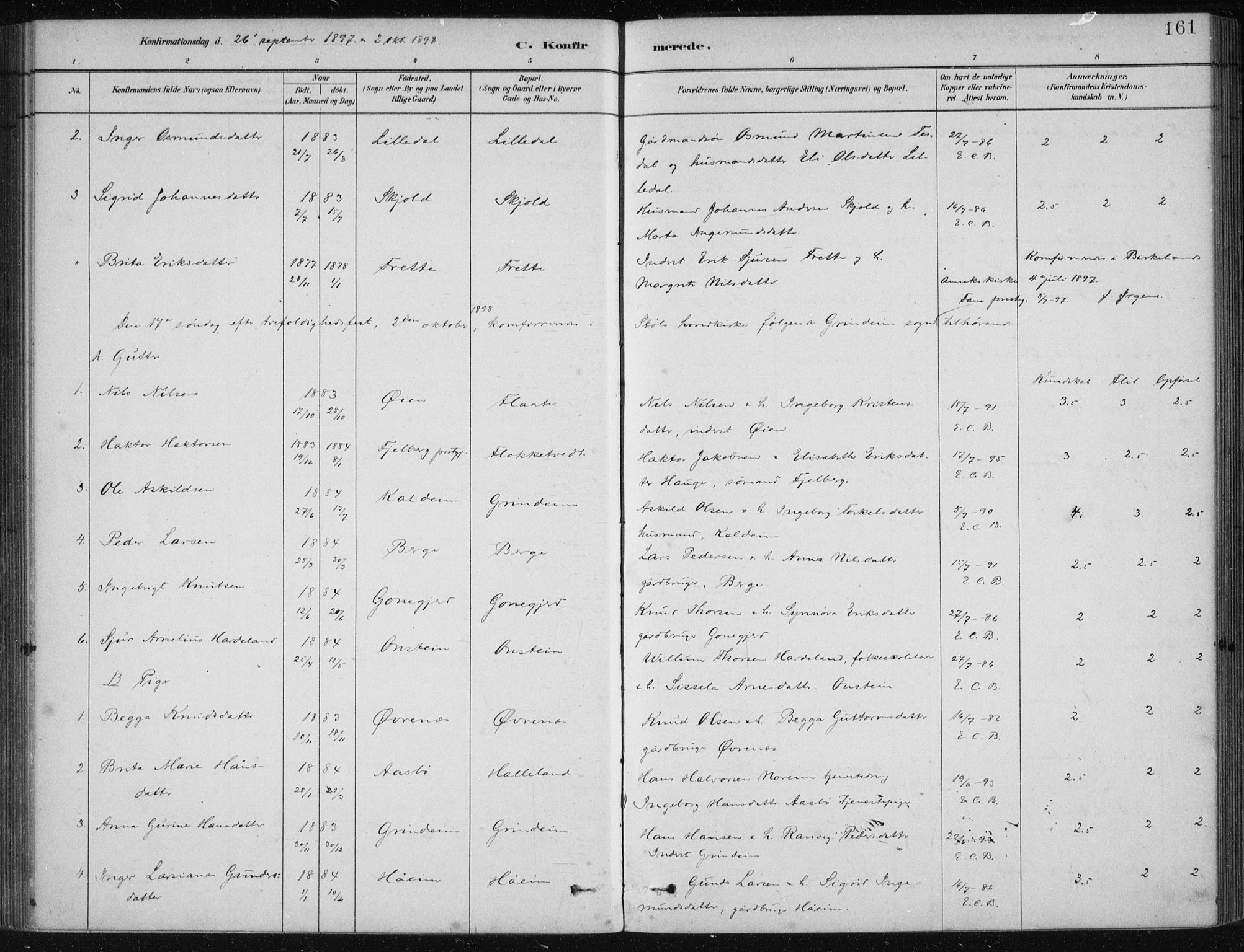 Etne sokneprestembete, SAB/A-75001/H/Haa: Parish register (official) no. D  1, 1879-1919, p. 161