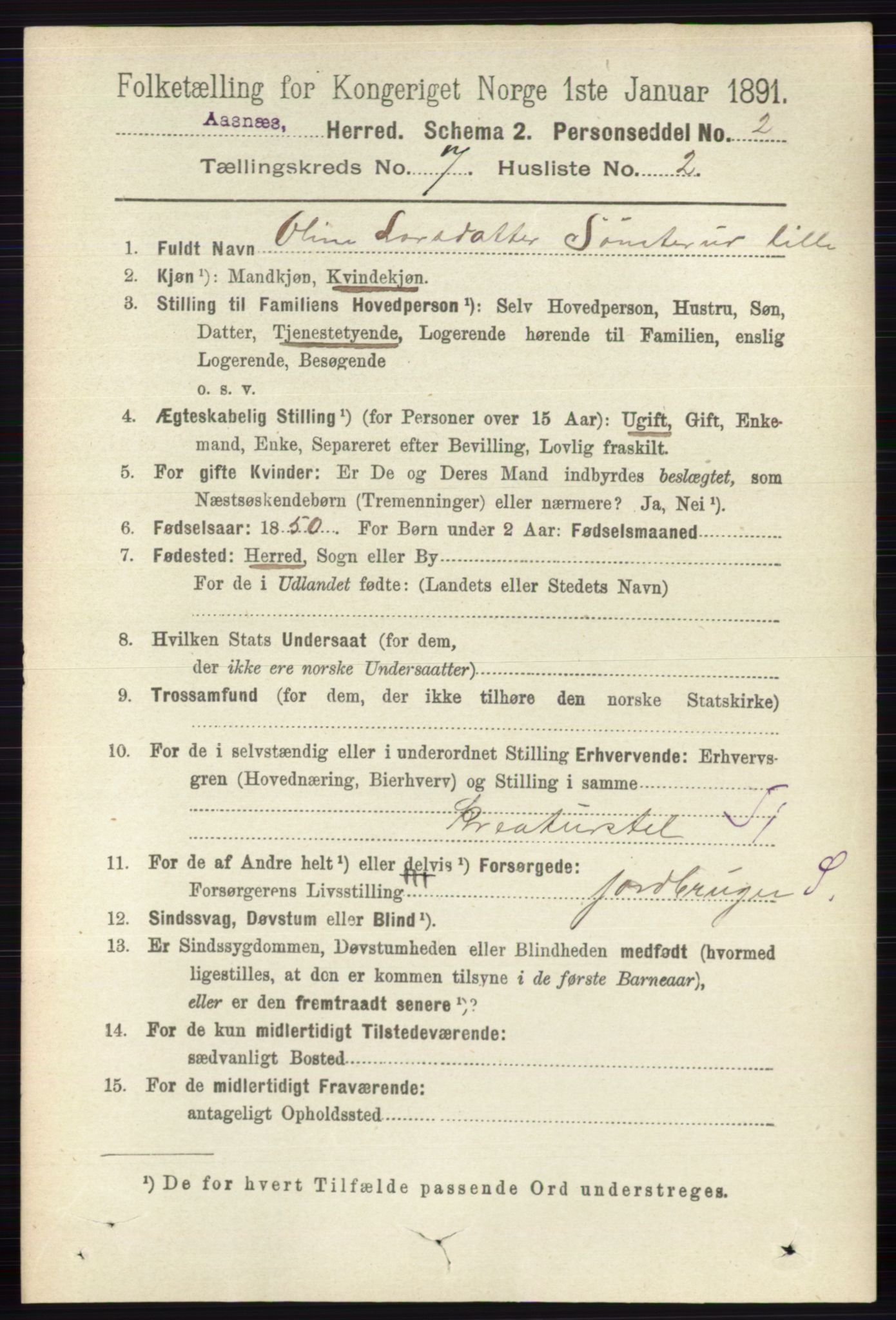 RA, 1891 census for 0425 Åsnes, 1891, p. 3378