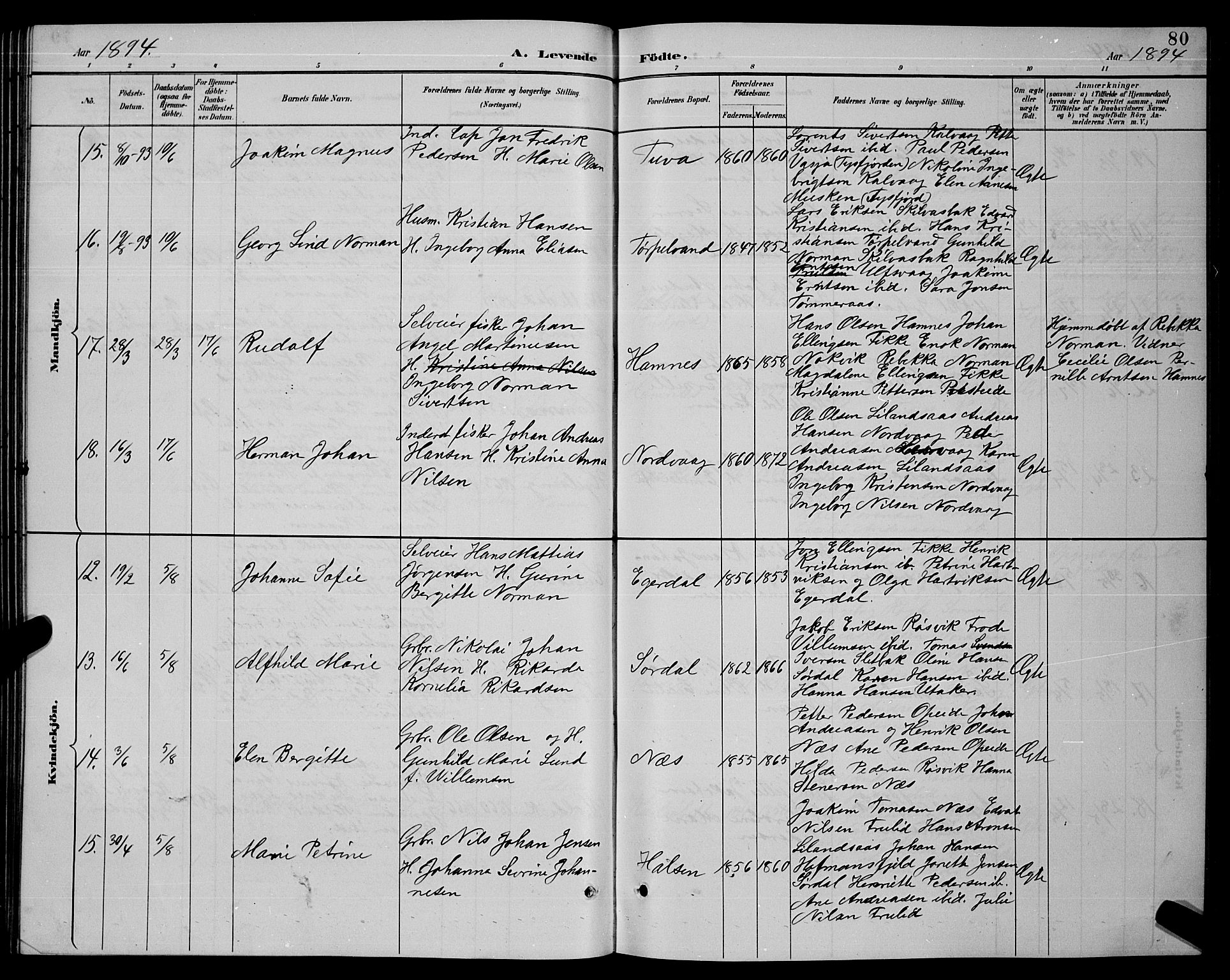 Ministerialprotokoller, klokkerbøker og fødselsregistre - Nordland, AV/SAT-A-1459/859/L0859: Parish register (copy) no. 859C05, 1887-1898, p. 80