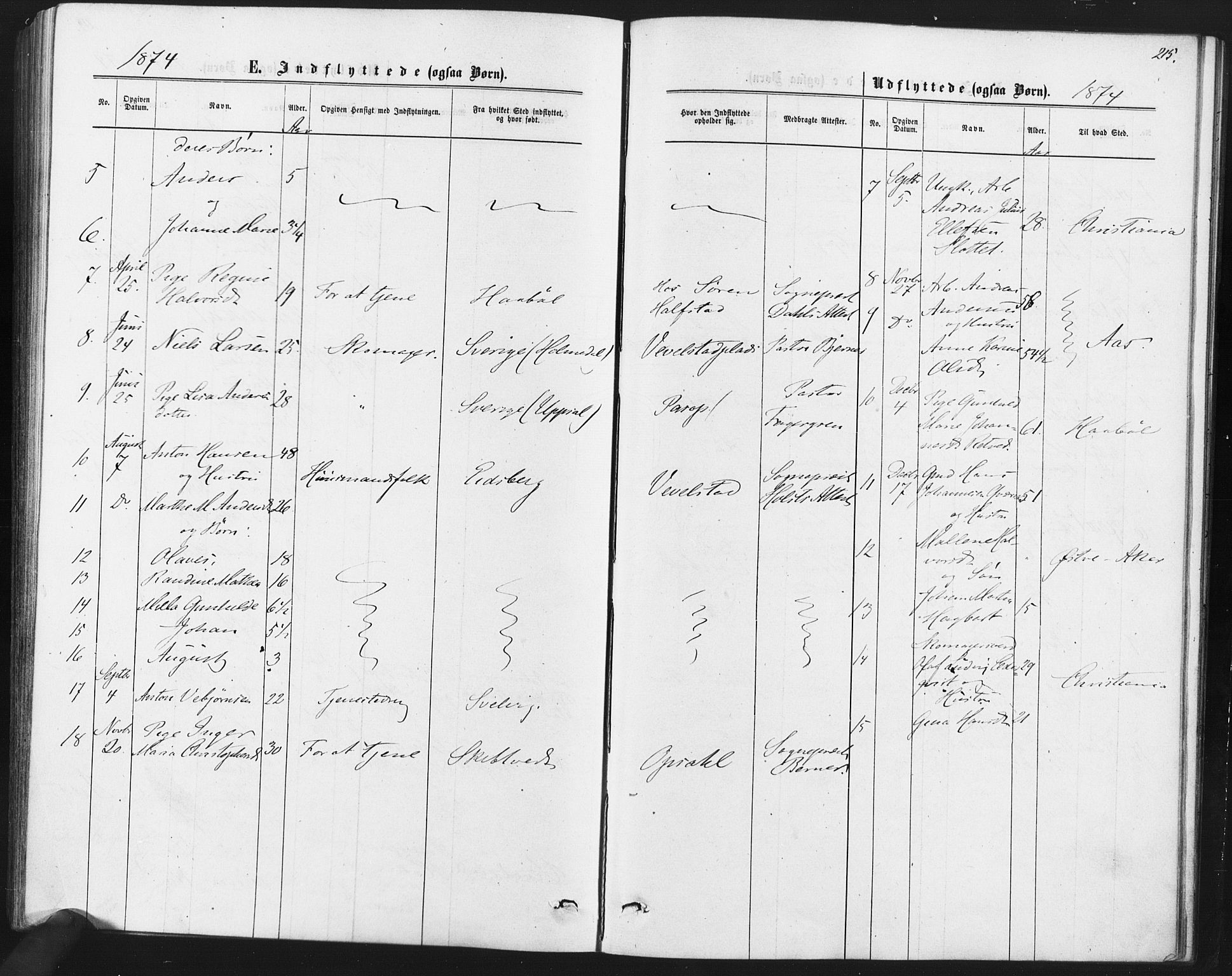 Kråkstad prestekontor Kirkebøker, AV/SAO-A-10125a/F/Fa/L0008: Parish register (official) no. I 8, 1870-1879, p. 215