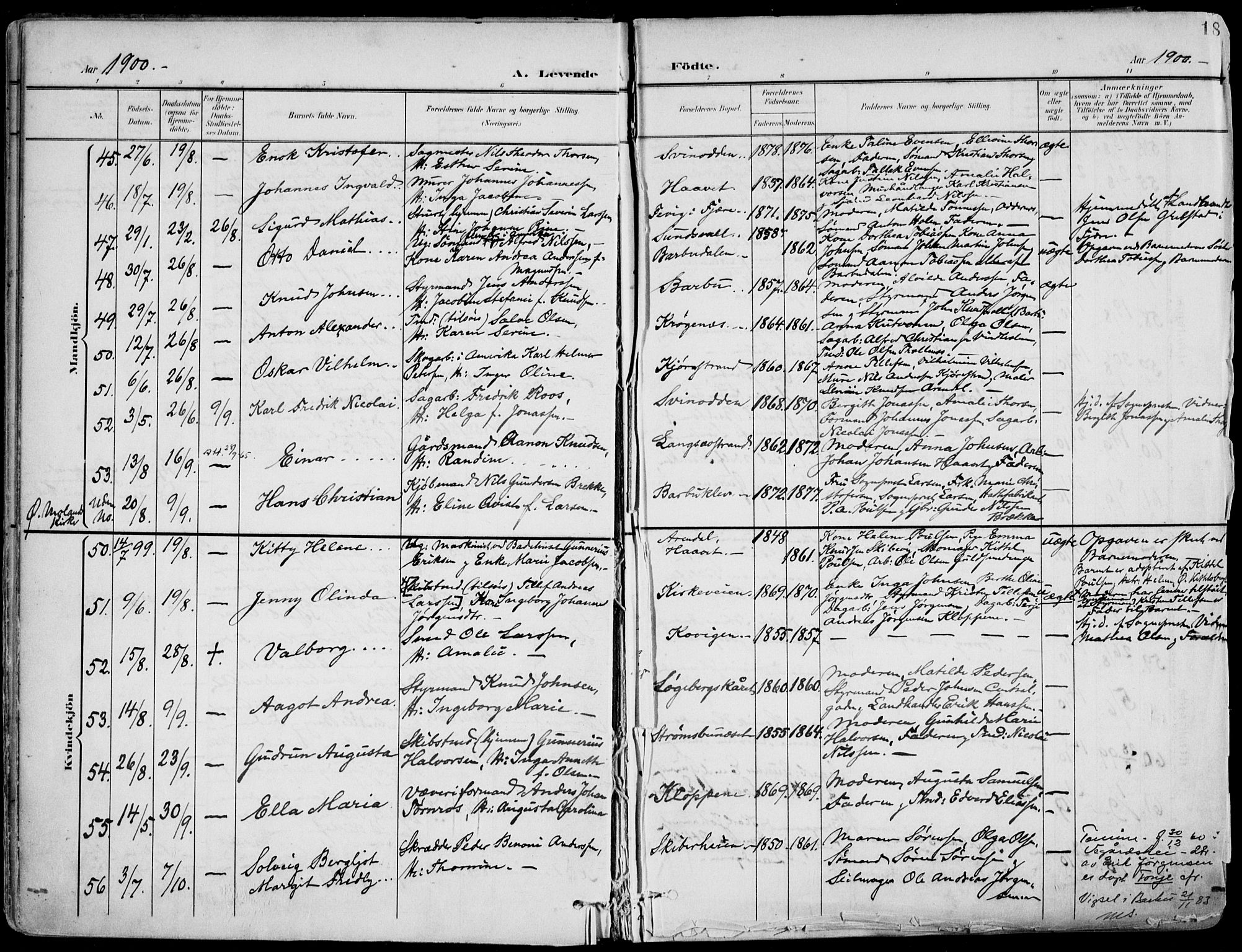 Barbu sokneprestkontor, AV/SAK-1111-0003/F/Fa/L0005: Parish register (official) no. A 5, 1899-1909, p. 18