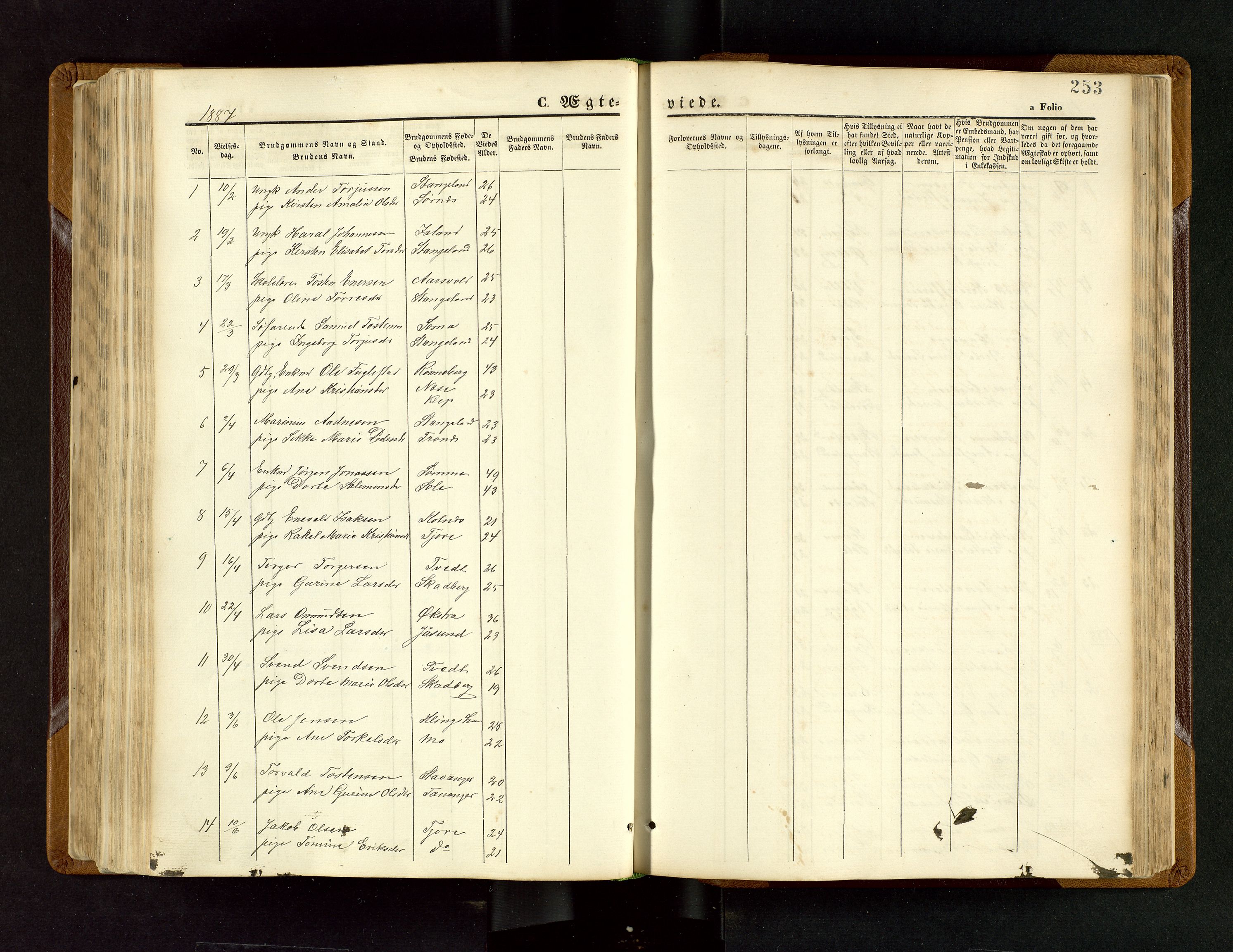 Håland sokneprestkontor, SAST/A-101802/001/30BB/L0003: Parish register (copy) no. B 3, 1873-1893, p. 253