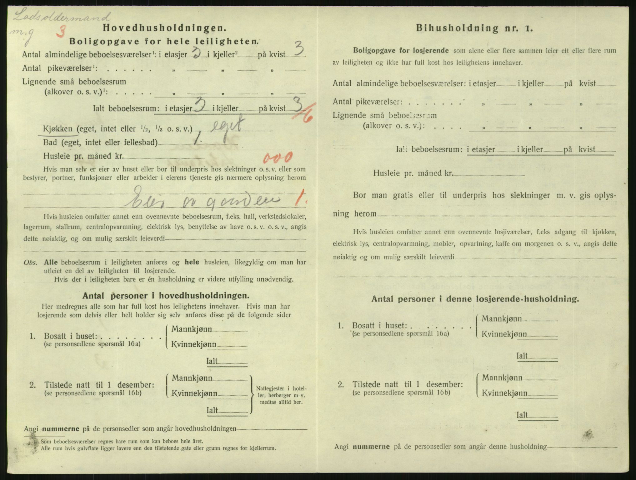 SAKO, 1920 census for Horten, 1920, p. 4036