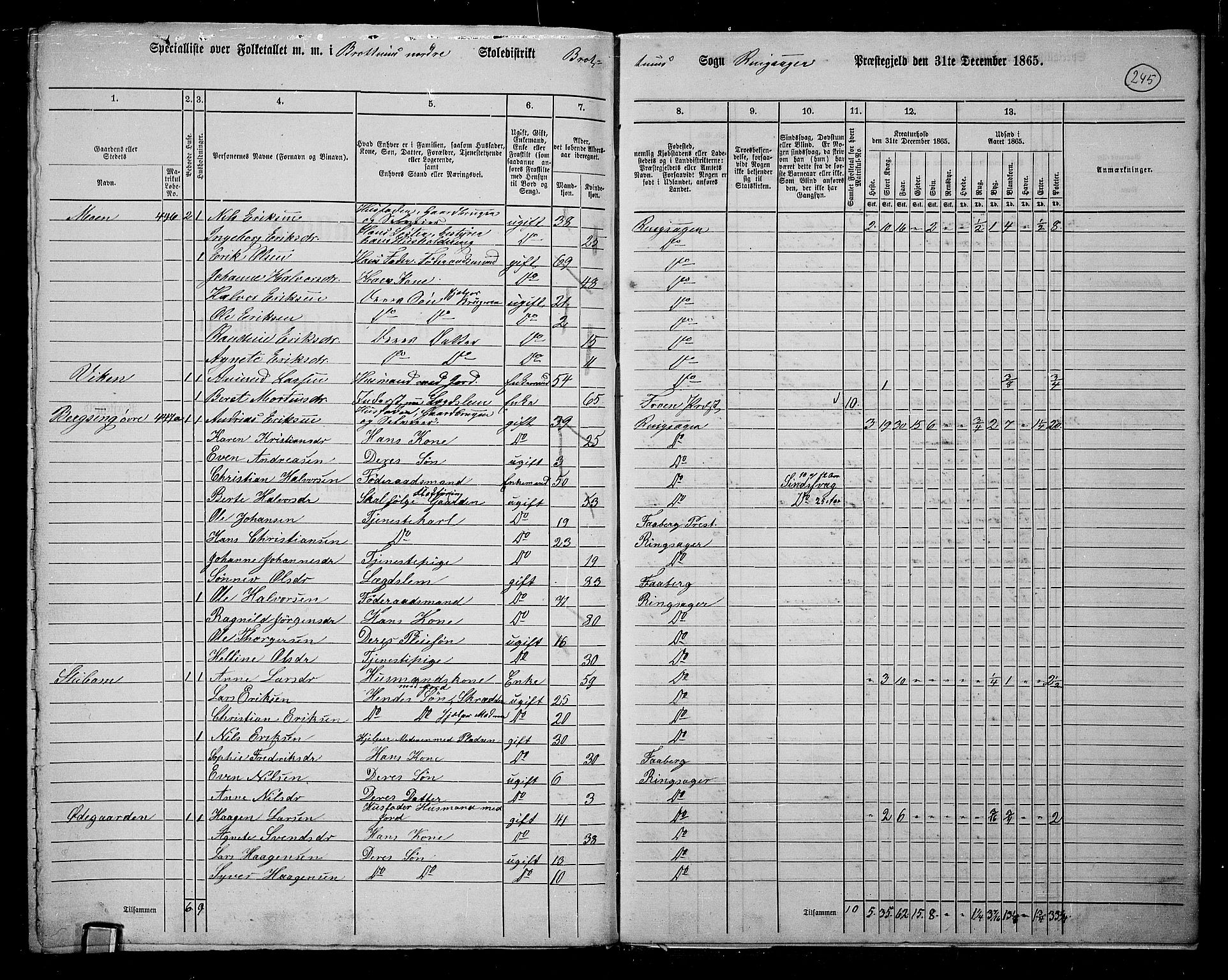 RA, 1865 census for Ringsaker, 1865, p. 479