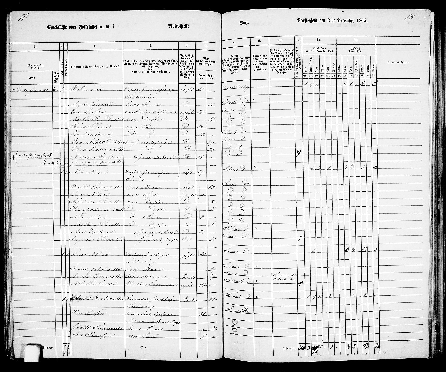 RA, 1865 census for Sand, 1865, p. 68