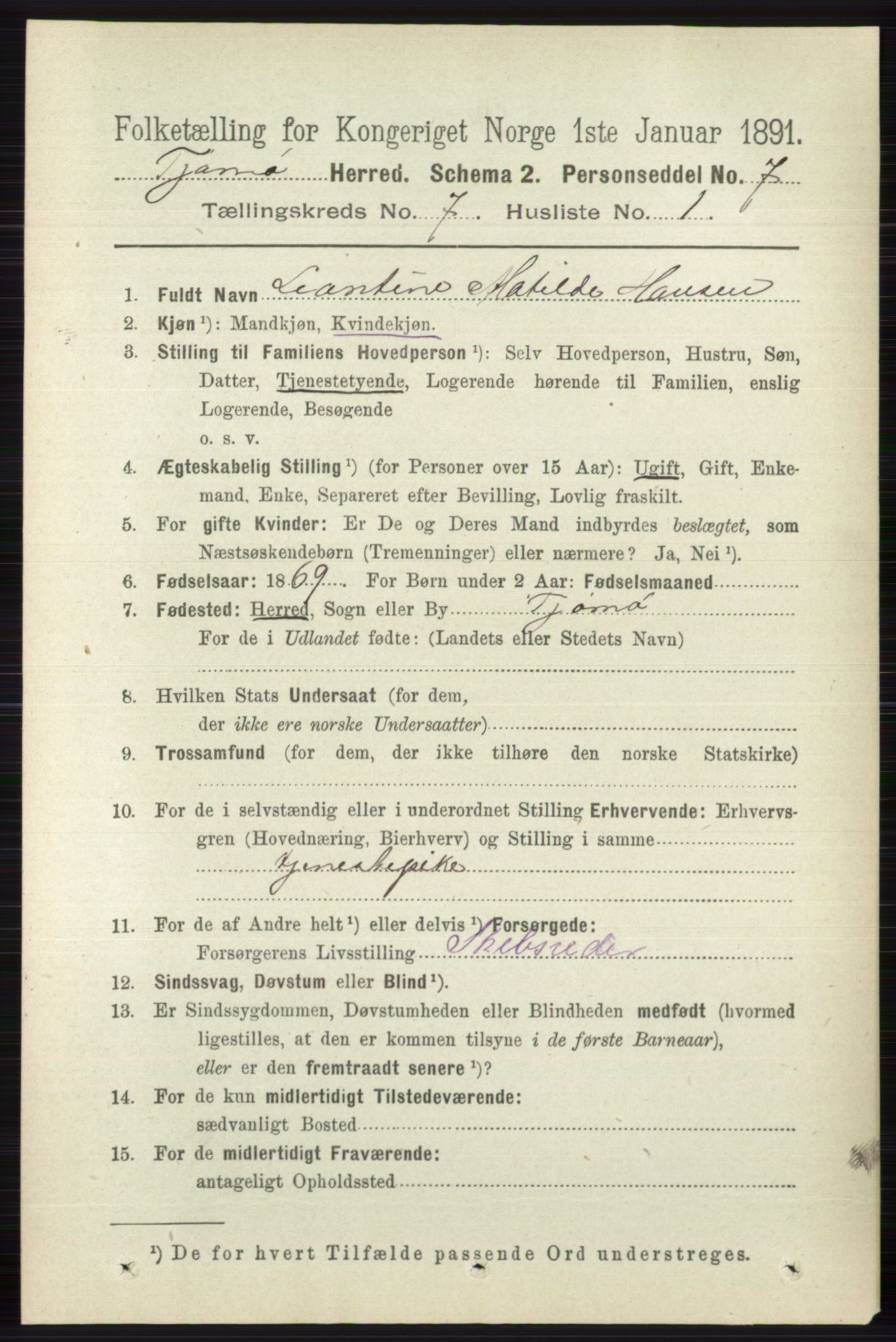 RA, 1891 census for 0723 Tjøme, 1891, p. 2466