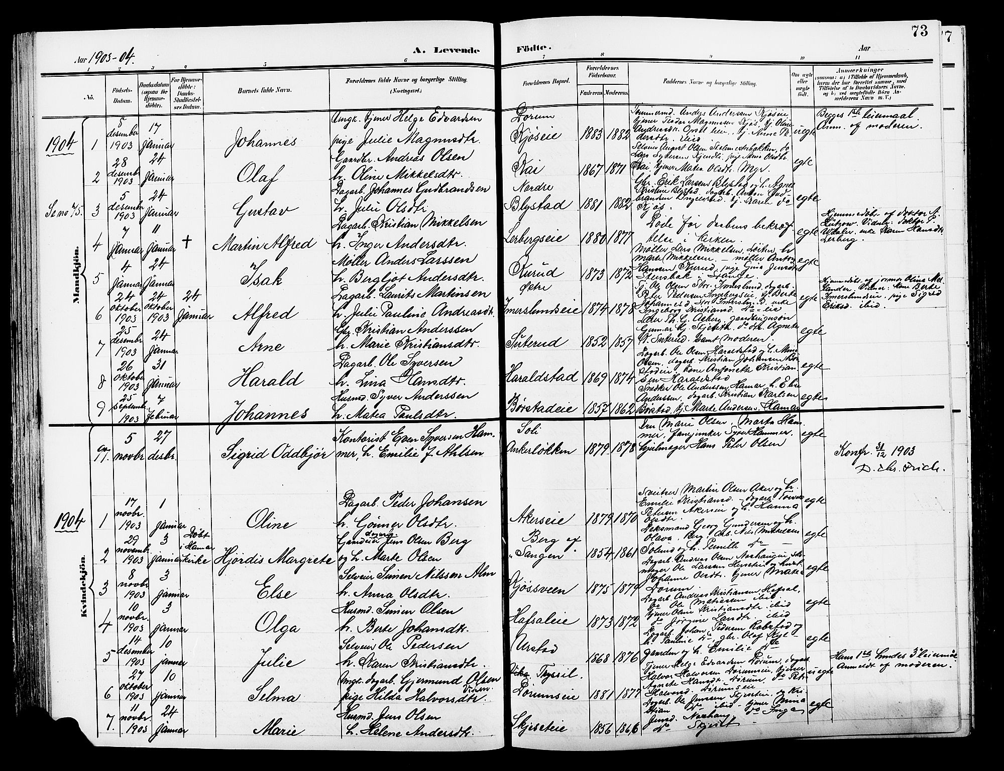 Vang prestekontor, Hedmark, AV/SAH-PREST-008/H/Ha/Hab/L0014: Parish register (copy) no. 14, 1896-1914, p. 73