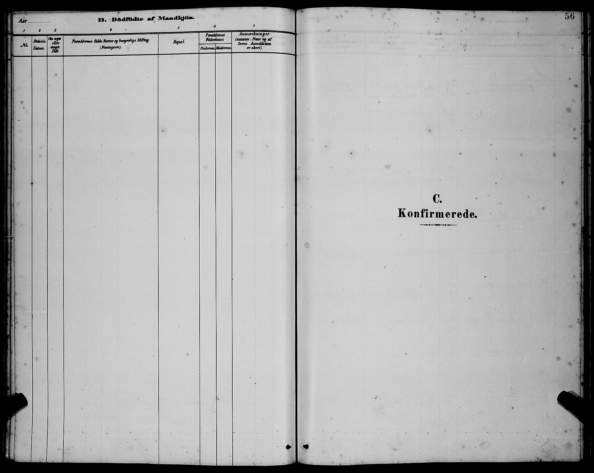 Ministerialprotokoller, klokkerbøker og fødselsregistre - Møre og Romsdal, SAT/A-1454/538/L0523: Parish register (copy) no. 538C01, 1881-1900, p. 56