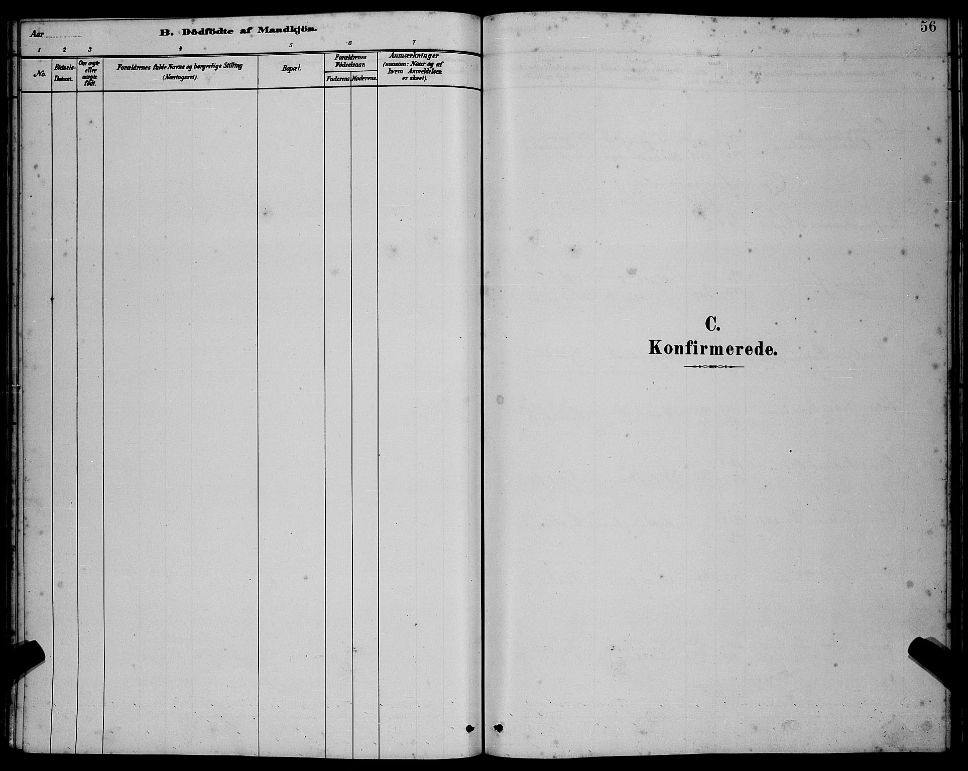 Ministerialprotokoller, klokkerbøker og fødselsregistre - Møre og Romsdal, AV/SAT-A-1454/538/L0523: Parish register (copy) no. 538C01, 1881-1900, p. 56