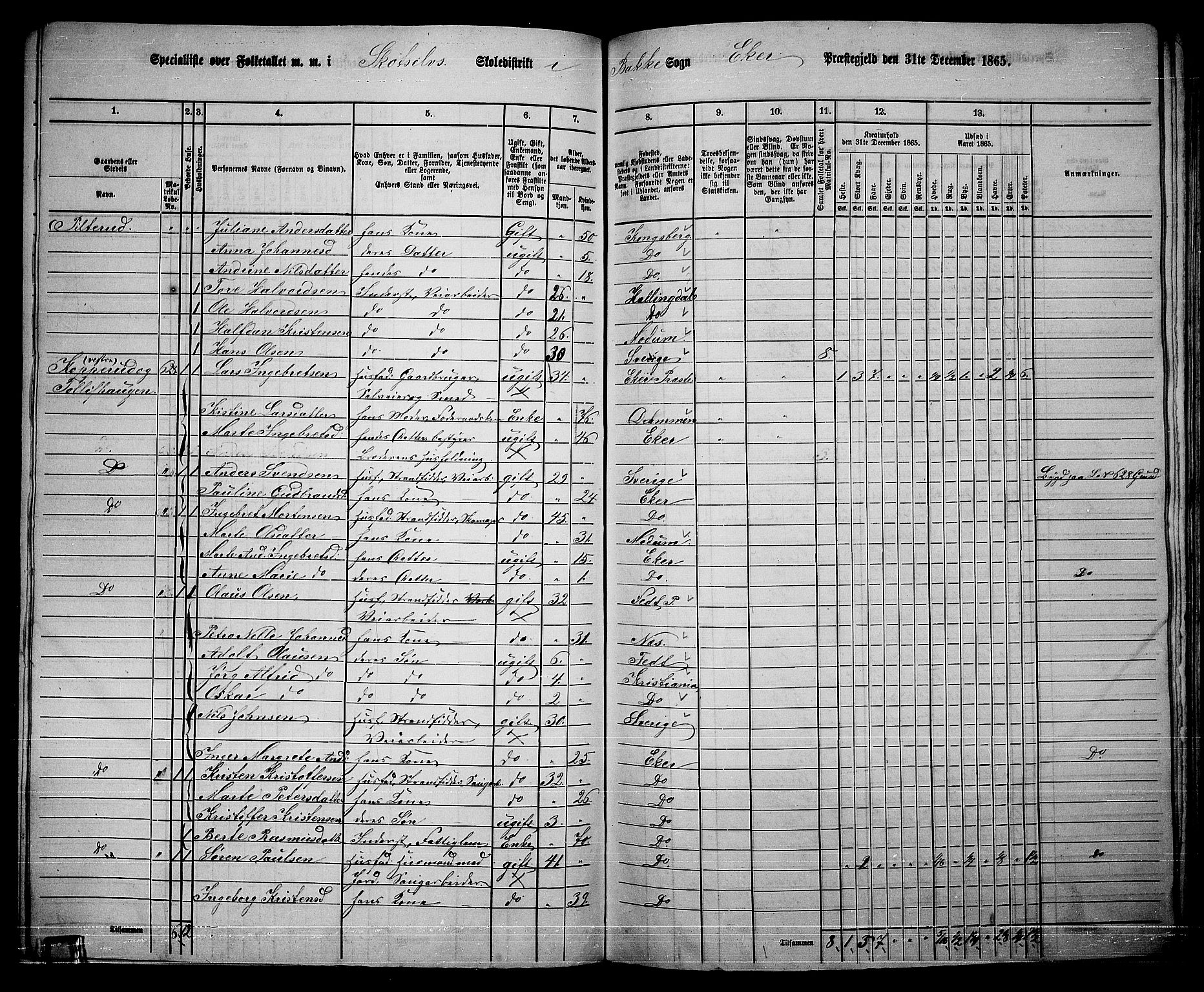 RA, 1865 census for Eiker, 1865, p. 479