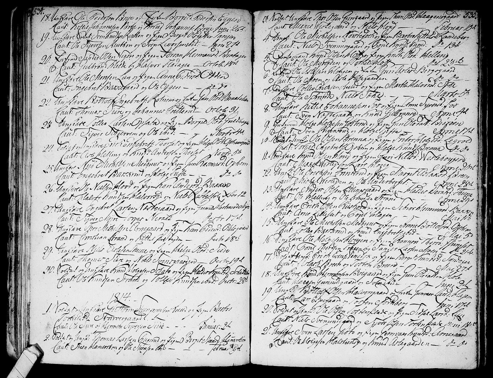 Ål kirkebøker, SAKO/A-249/F/Fa/L0003: Parish register (official) no. I 3, 1807-1814, p. 534-535