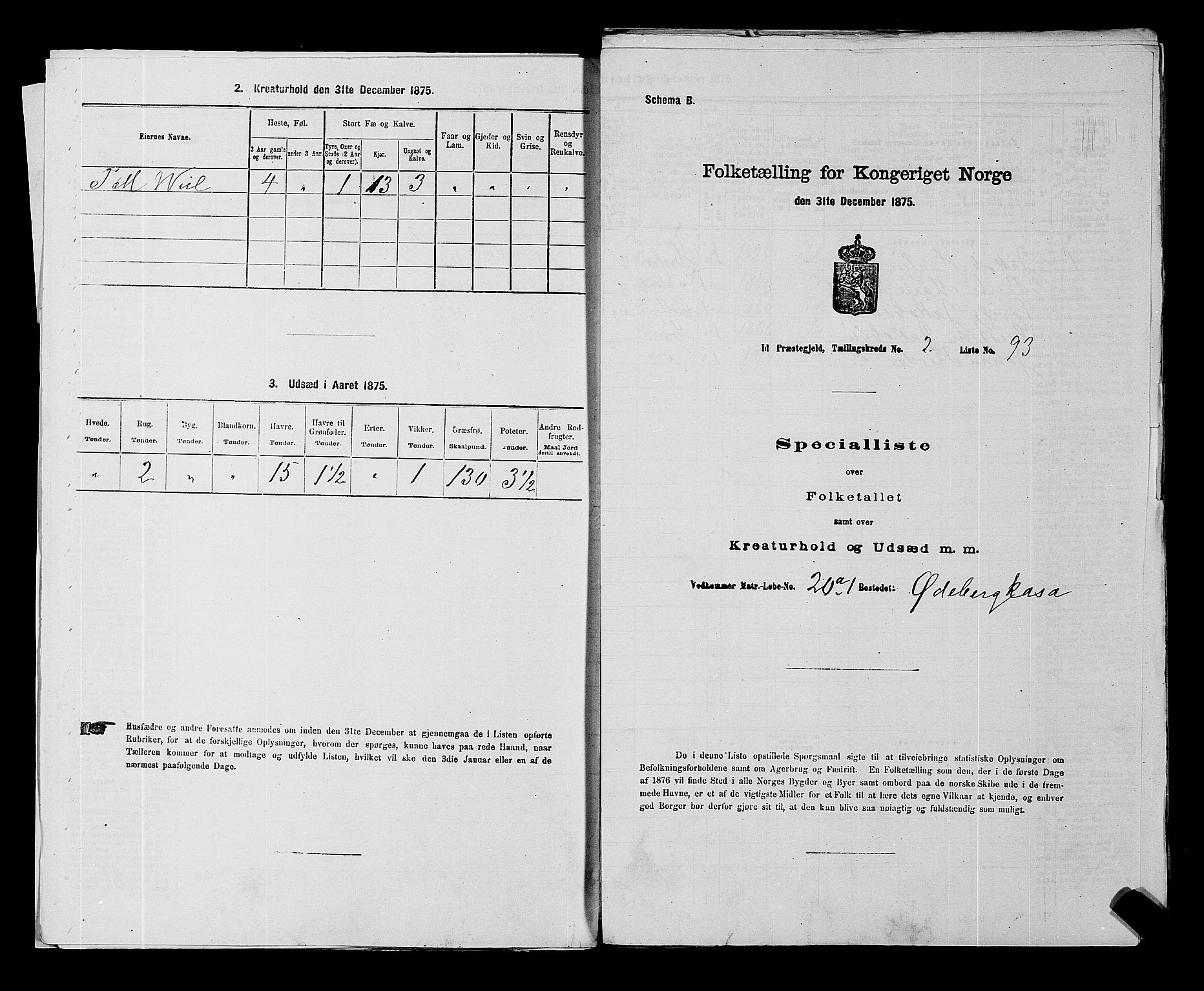 RA, 1875 census for 0117P Idd, 1875, p. 163