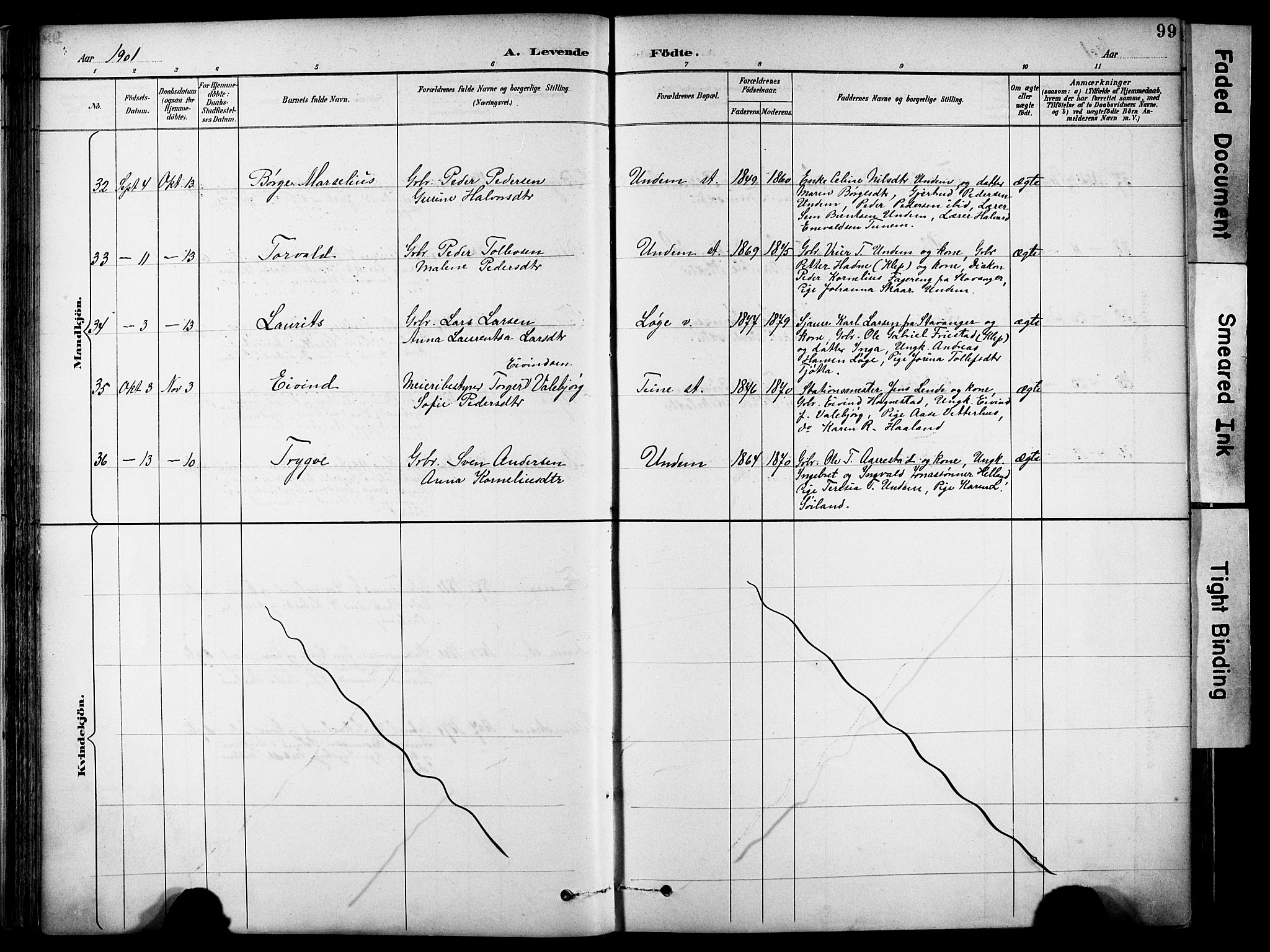 Lye sokneprestkontor, AV/SAST-A-101794/001/30BA/L0011: Parish register (official) no. A 9, 1893-1903, p. 99