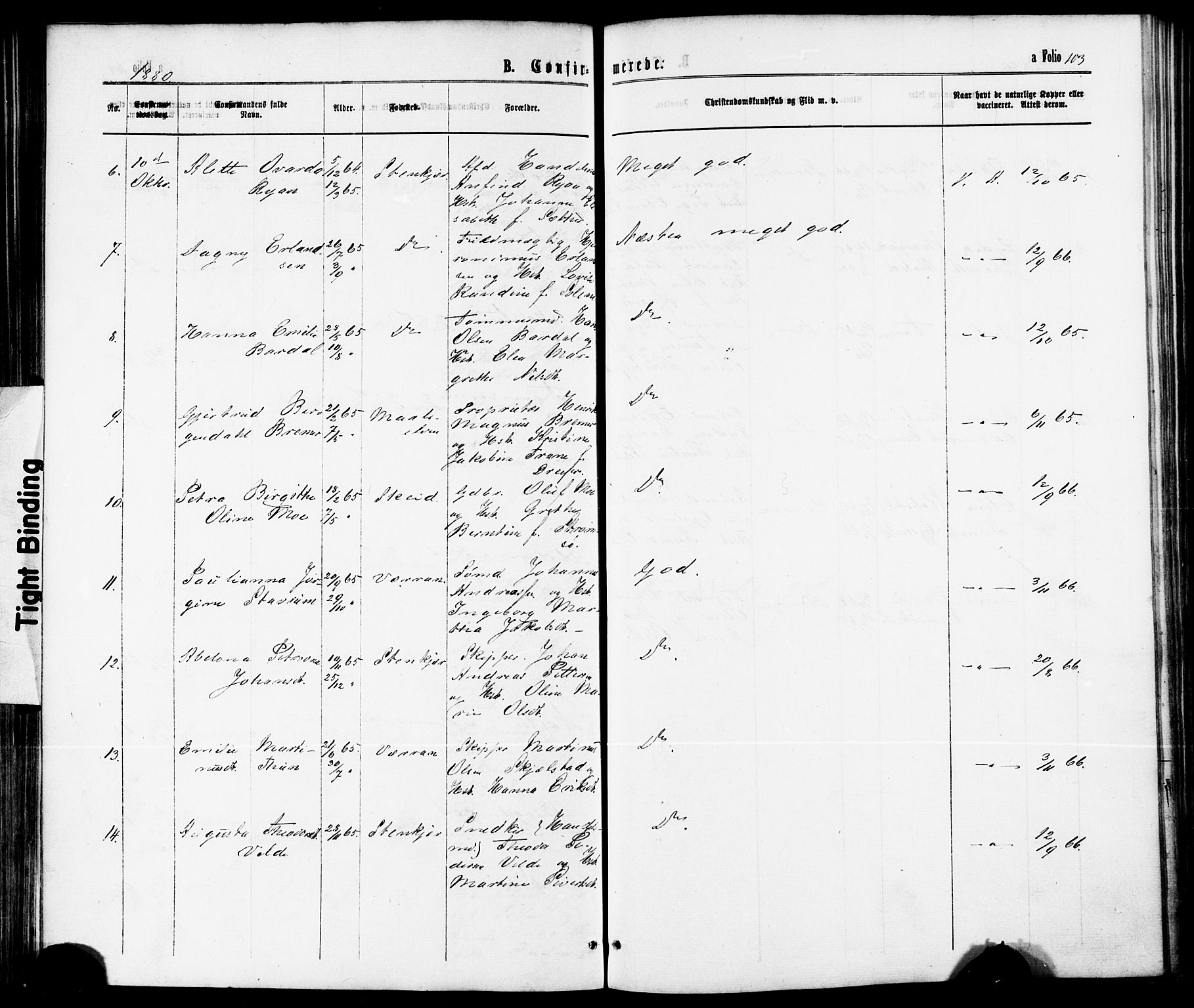 Ministerialprotokoller, klokkerbøker og fødselsregistre - Nord-Trøndelag, AV/SAT-A-1458/739/L0370: Parish register (official) no. 739A02, 1868-1881, p. 103