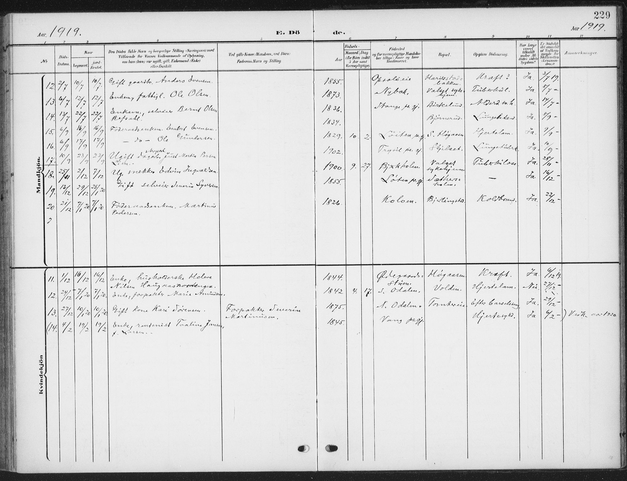 Romedal prestekontor, AV/SAH-PREST-004/K/L0009: Parish register (official) no. 9, 1906-1929, p. 229