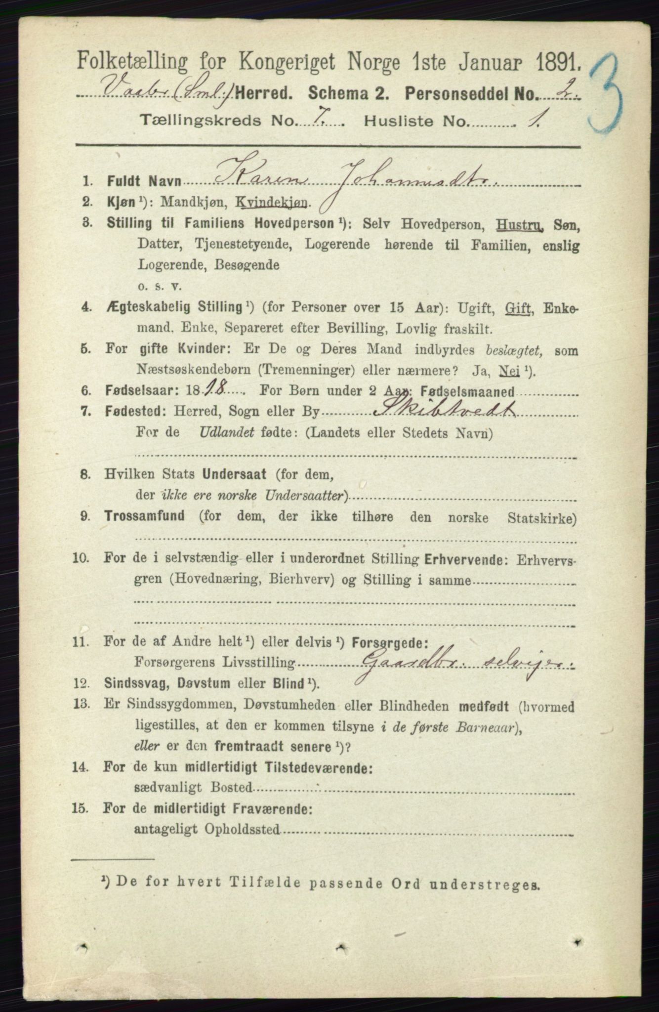 RA, 1891 census for 0137 Våler, 1891, p. 2847