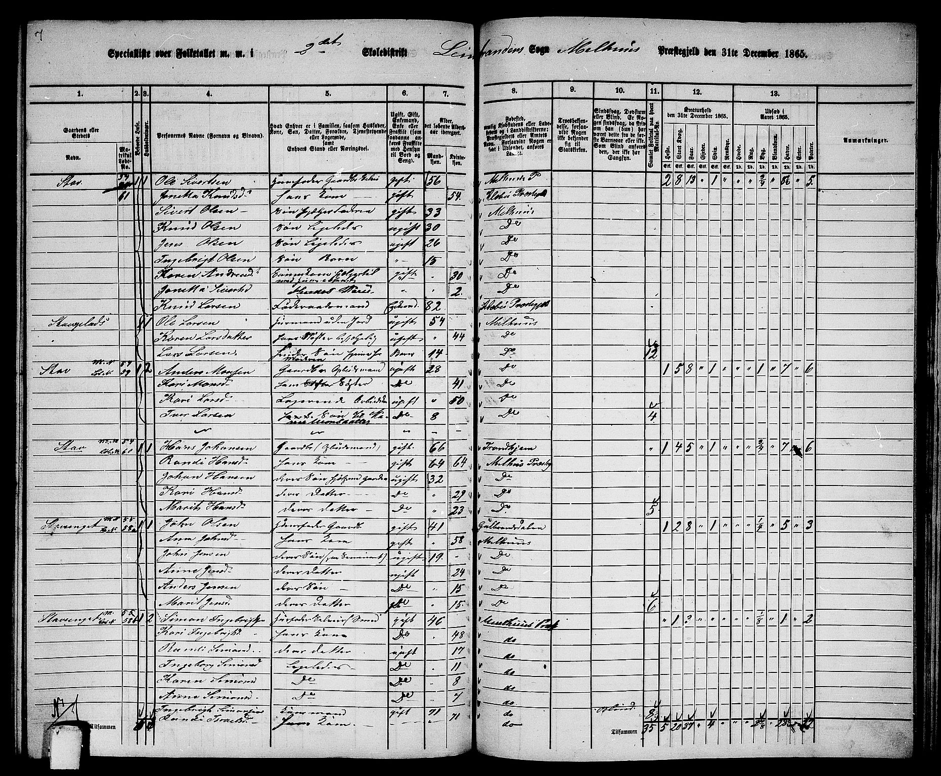 RA, 1865 census for Melhus, 1865, p. 223