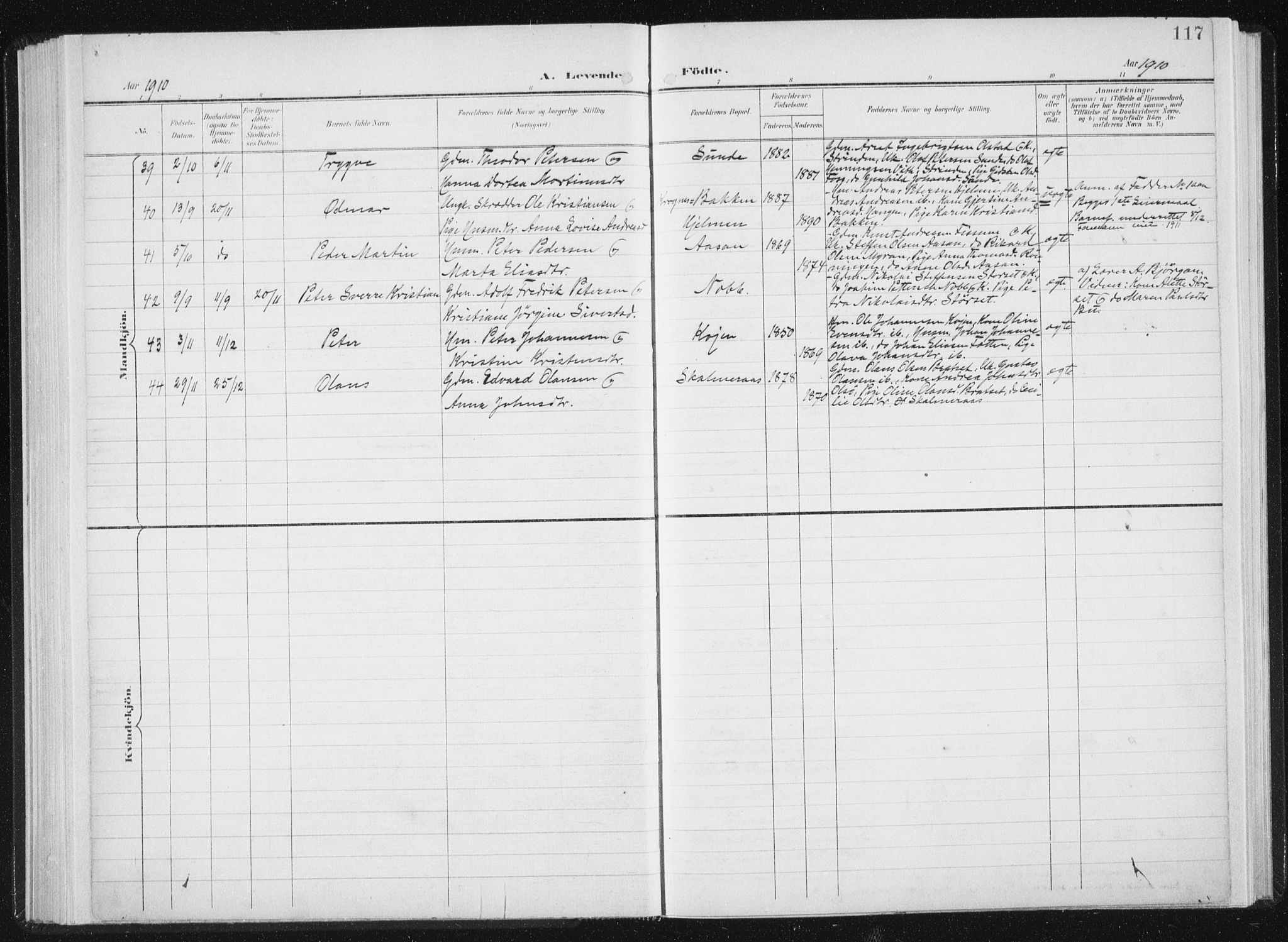 Ministerialprotokoller, klokkerbøker og fødselsregistre - Sør-Trøndelag, SAT/A-1456/647/L0635: Parish register (official) no. 647A02, 1896-1911, p. 117
