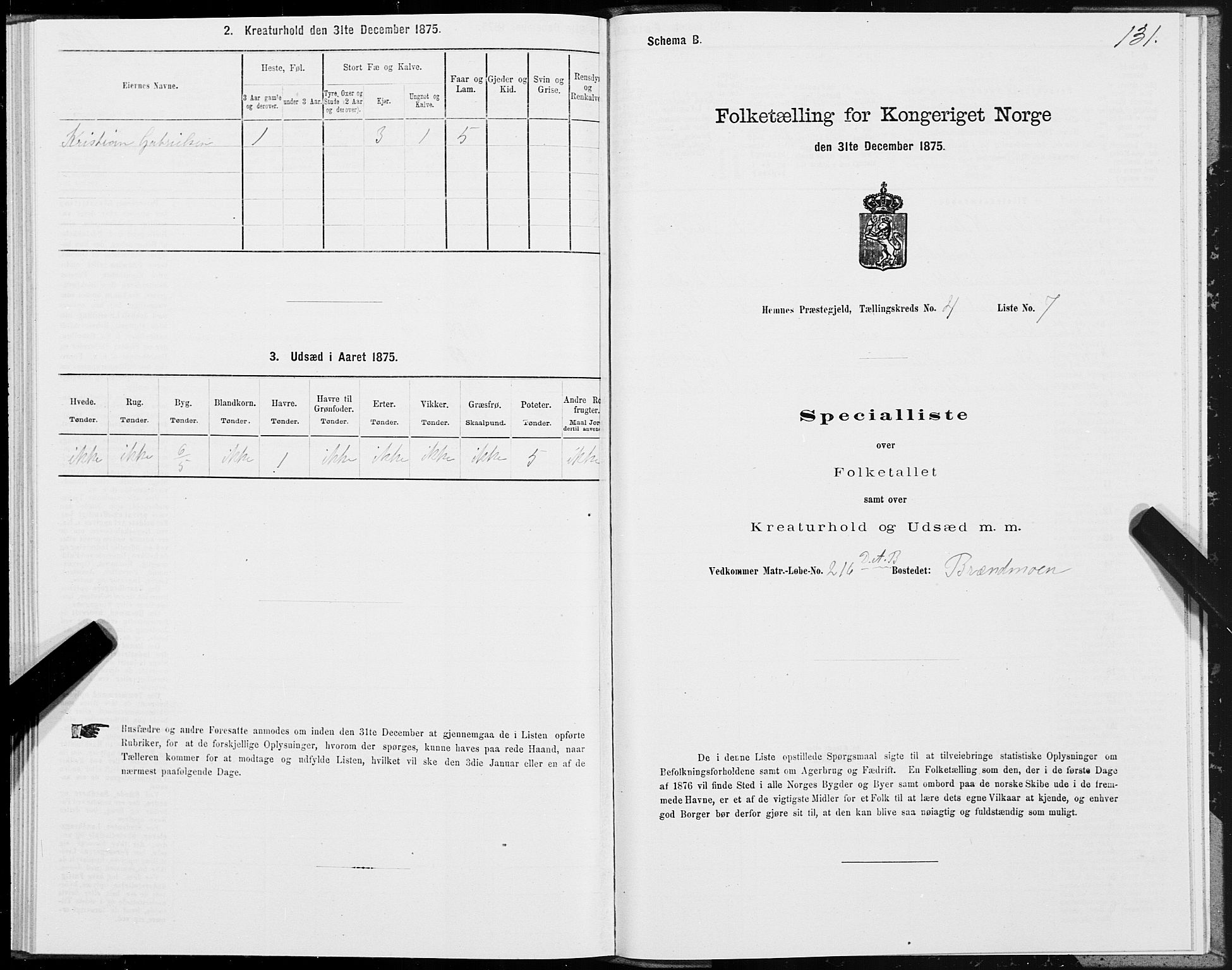 SAT, 1875 census for 1832P Hemnes, 1875, p. 3131