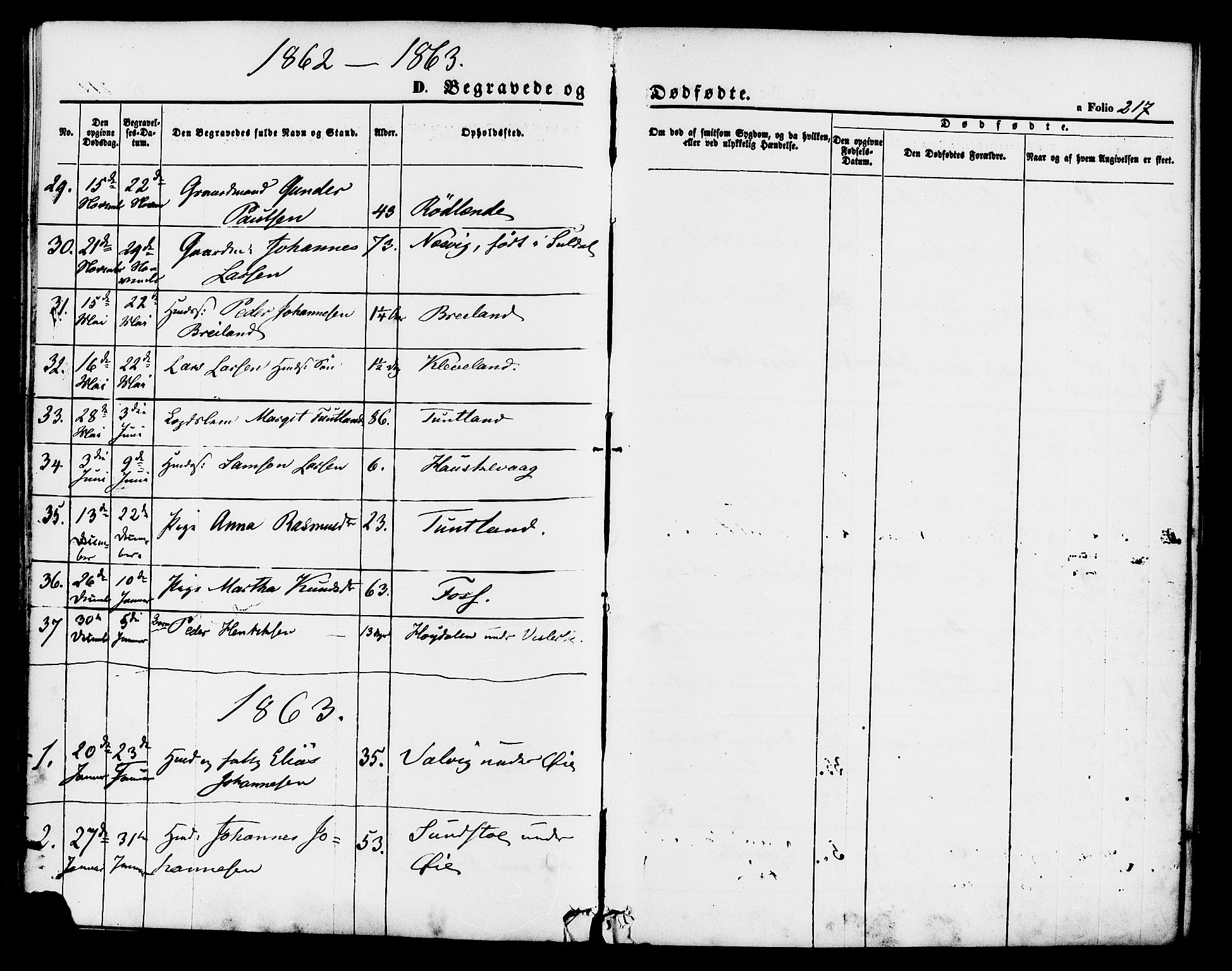 Hjelmeland sokneprestkontor, AV/SAST-A-101843/01/IV/L0011: Parish register (official) no. A 11, 1861-1878, p. 217