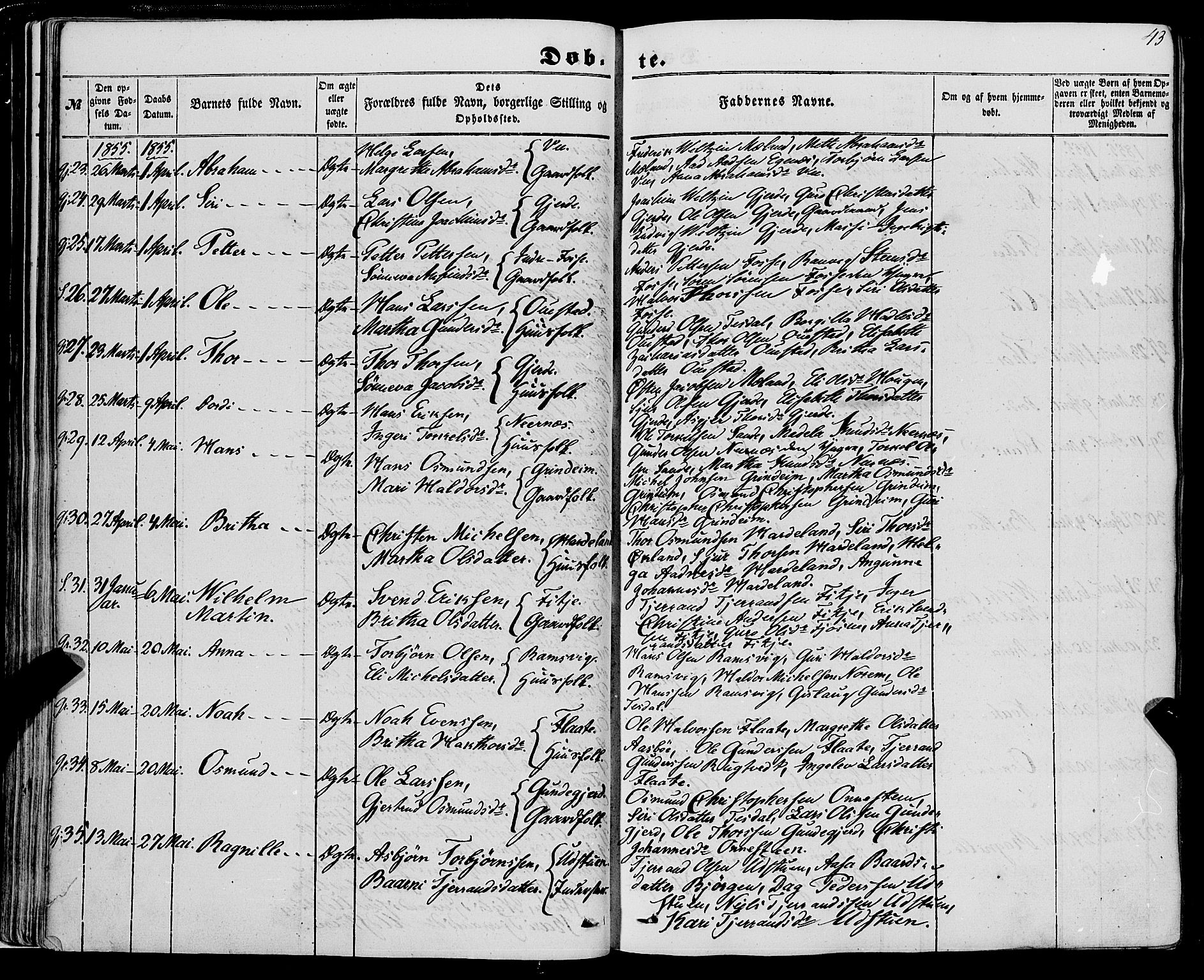 Etne sokneprestembete, AV/SAB-A-75001/H/Haa: Parish register (official) no. A 8, 1848-1862, p. 43