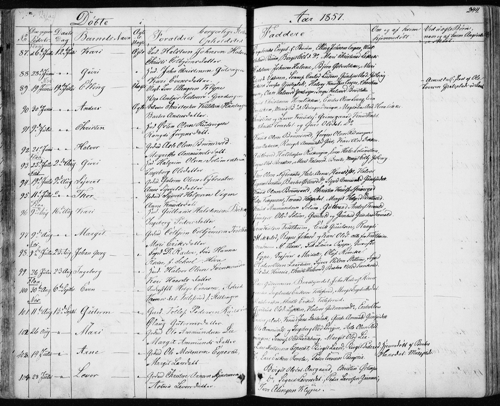 Nes kirkebøker, AV/SAKO-A-236/F/Fa/L0009: Parish register (official) no. 9, 1834-1863, p. 244