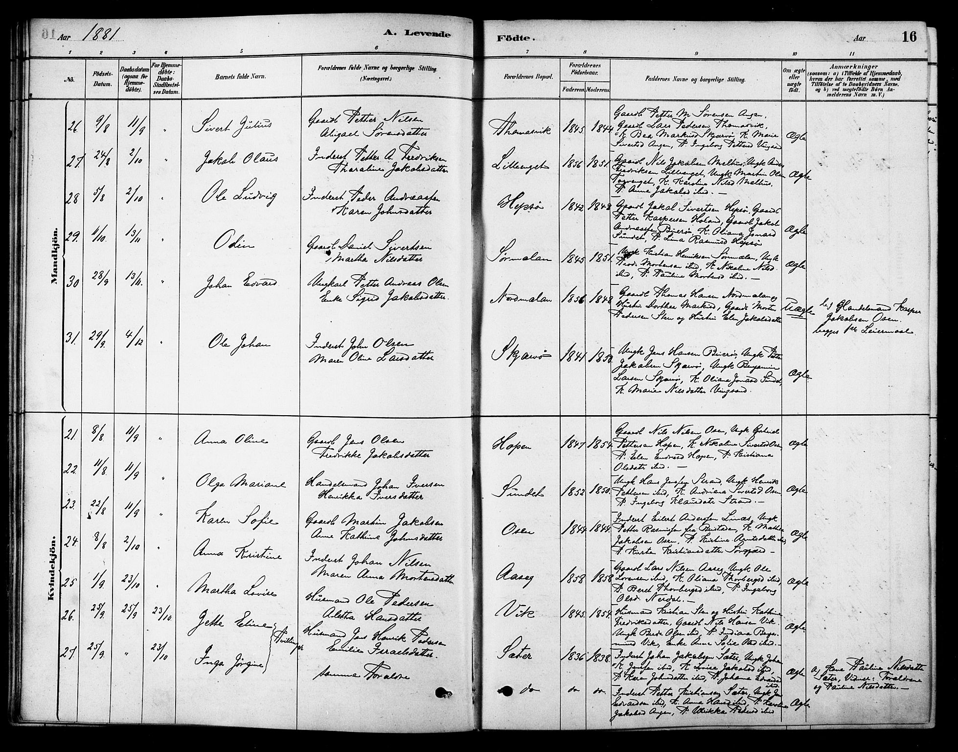 Ministerialprotokoller, klokkerbøker og fødselsregistre - Sør-Trøndelag, SAT/A-1456/658/L0722: Parish register (official) no. 658A01, 1879-1896, p. 16