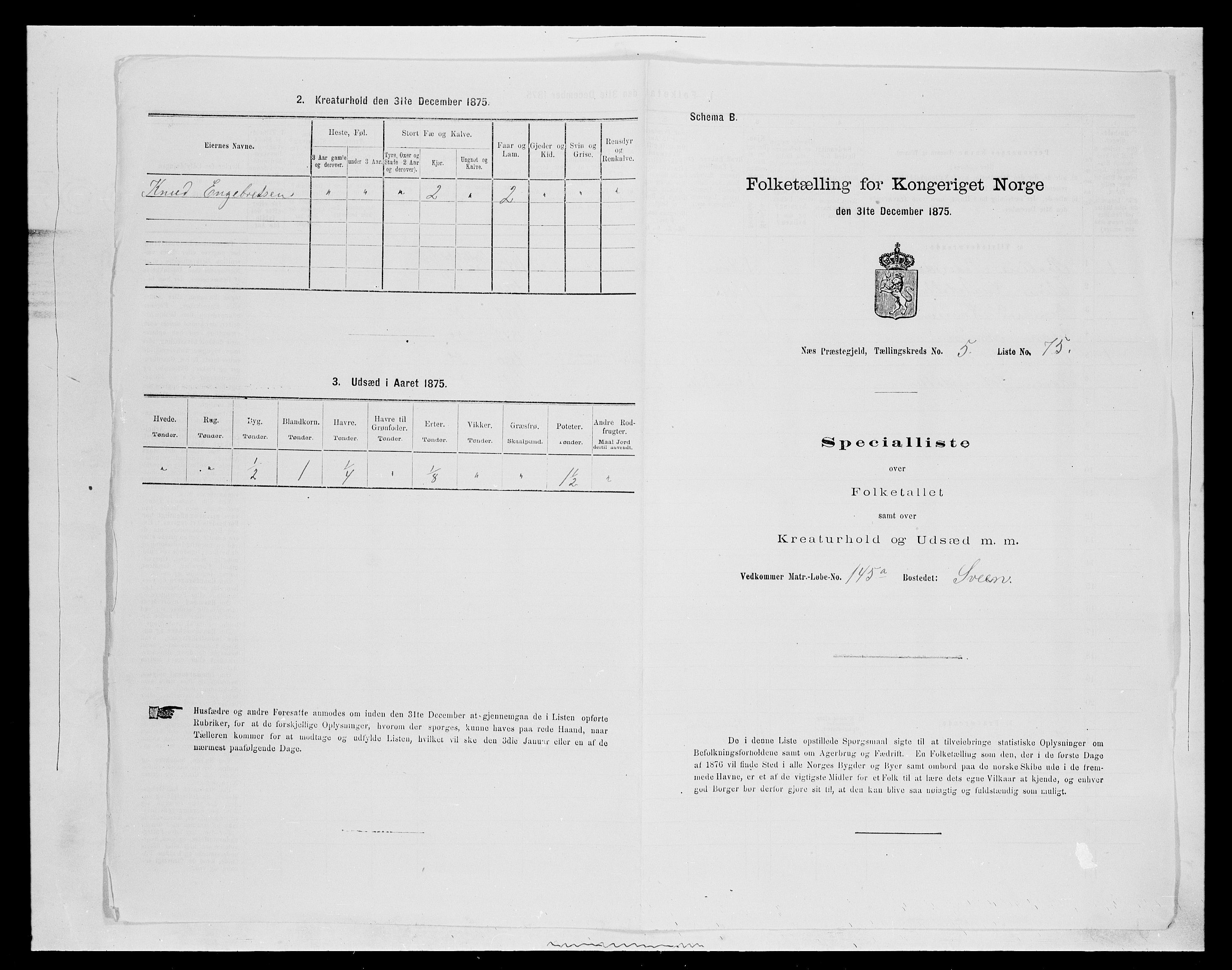 SAH, 1875 census for 0411P Nes, 1875, p. 935