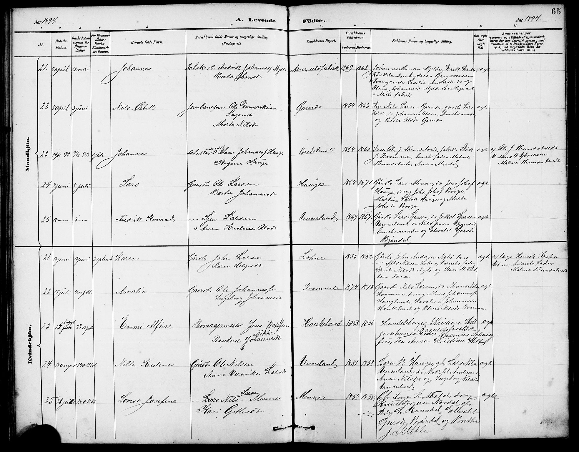 Arna sokneprestembete, AV/SAB-A-74001/H/Ha/Hab: Parish register (copy) no. A 3, 1887-1897, p. 65