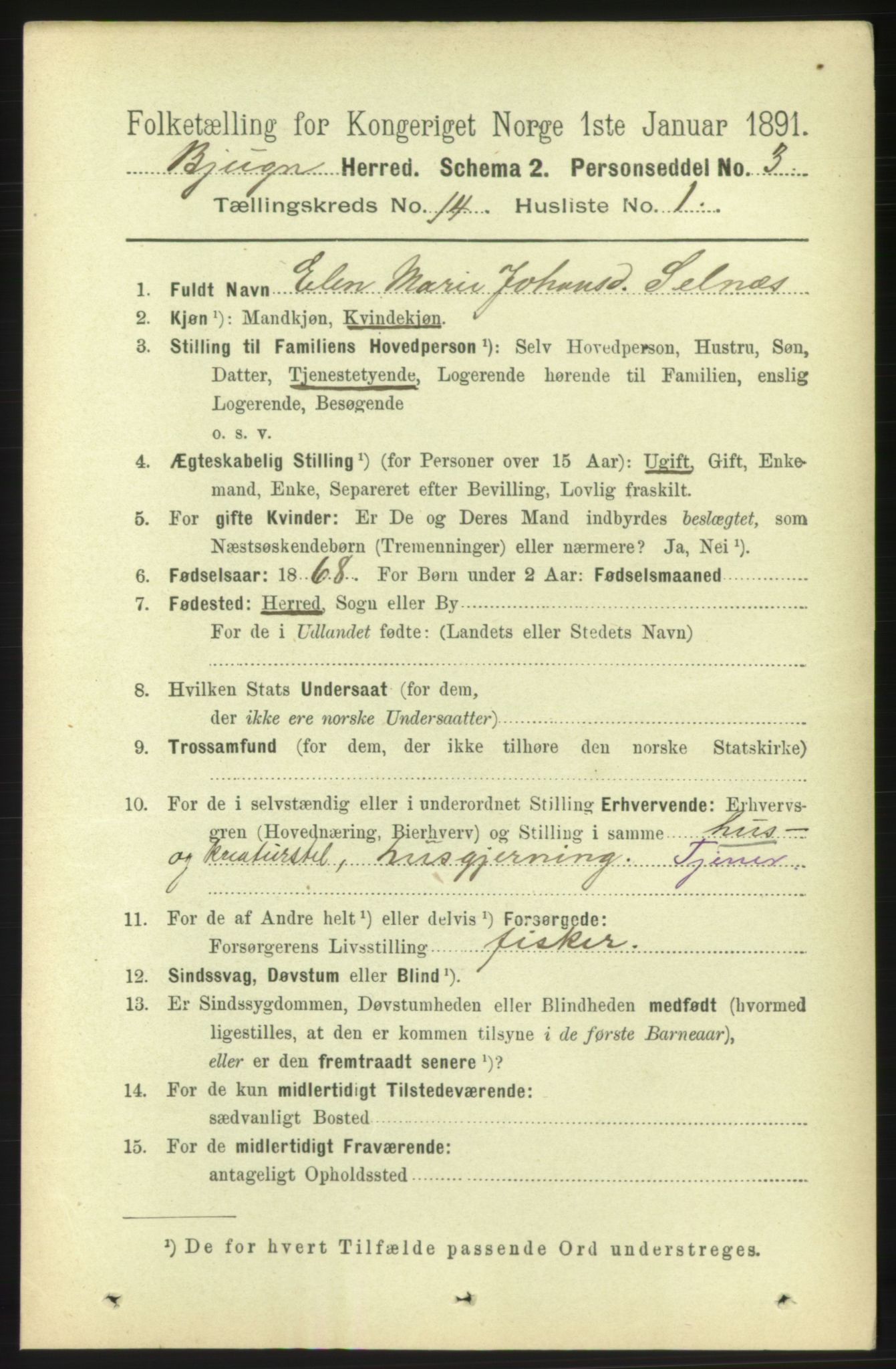 RA, 1891 census for 1627 Bjugn, 1891, p. 3975