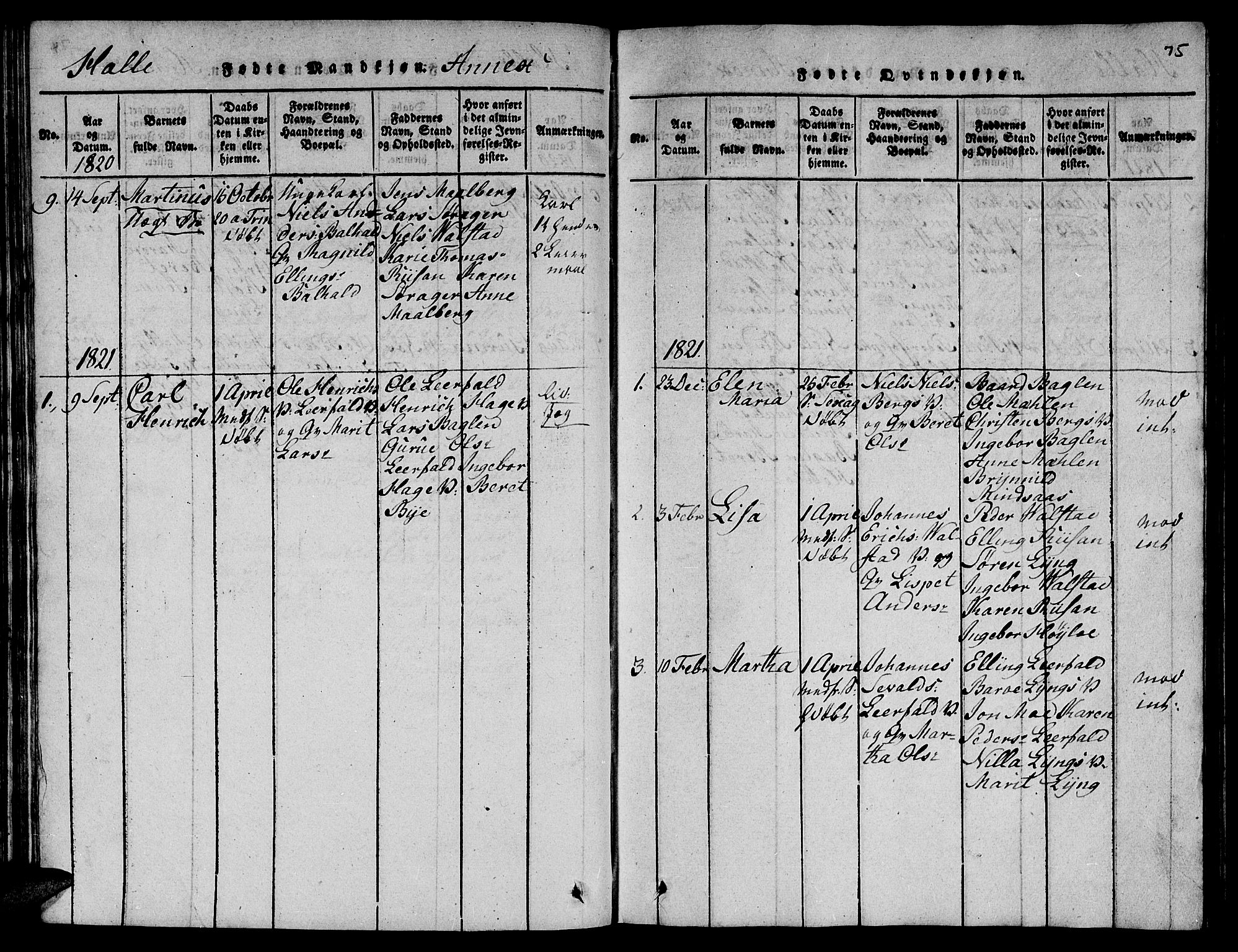 Ministerialprotokoller, klokkerbøker og fødselsregistre - Nord-Trøndelag, AV/SAT-A-1458/723/L0251: Parish register (copy) no. 723C01 /3, 1817-1821, p. 75