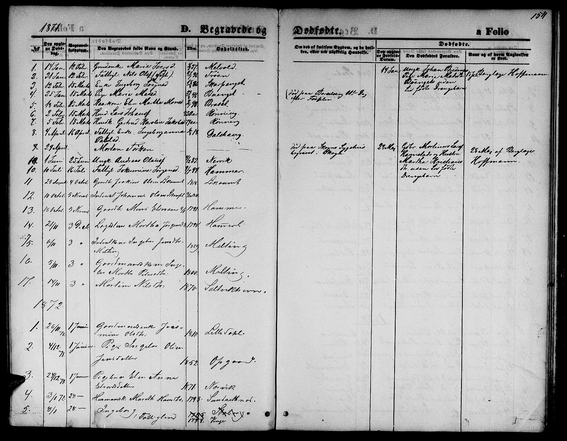 Ministerialprotokoller, klokkerbøker og fødselsregistre - Nord-Trøndelag, SAT/A-1458/733/L0326: Parish register (copy) no. 733C01, 1871-1887, p. 154