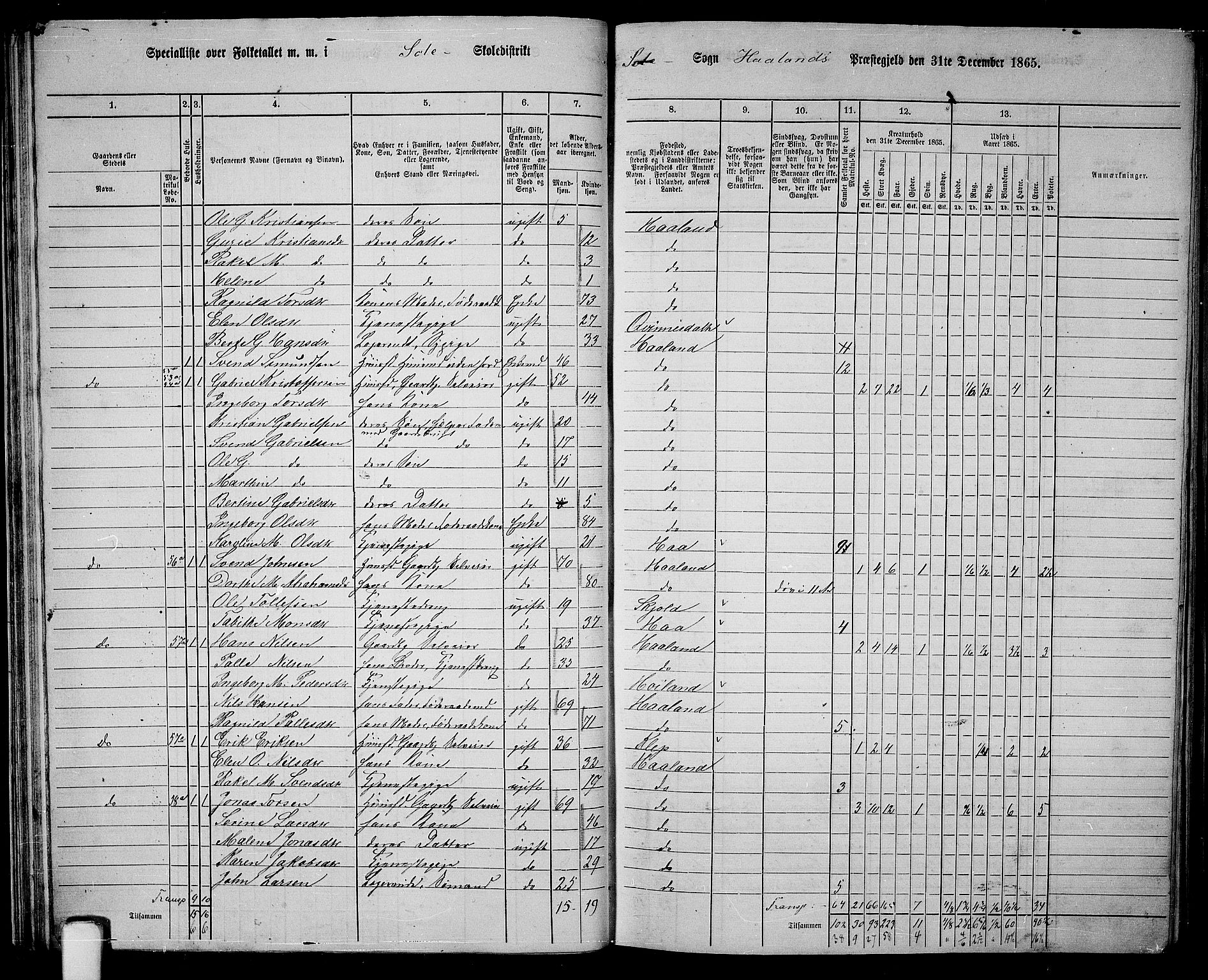 RA, 1865 census for Håland, 1865, p. 38