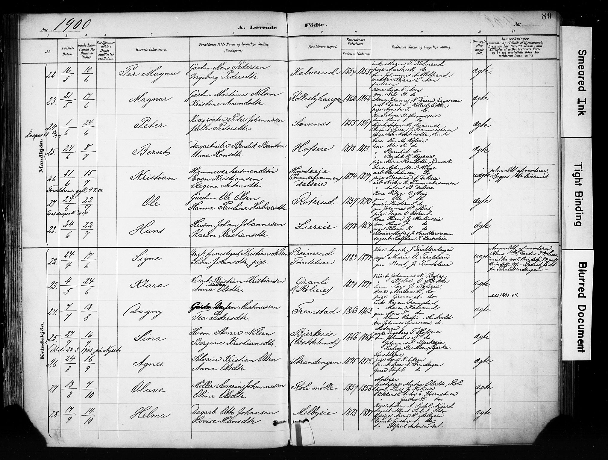 Biri prestekontor, AV/SAH-PREST-096/H/Ha/Haa/L0009: Parish register (official) no. 9, 1887-1900, p. 89