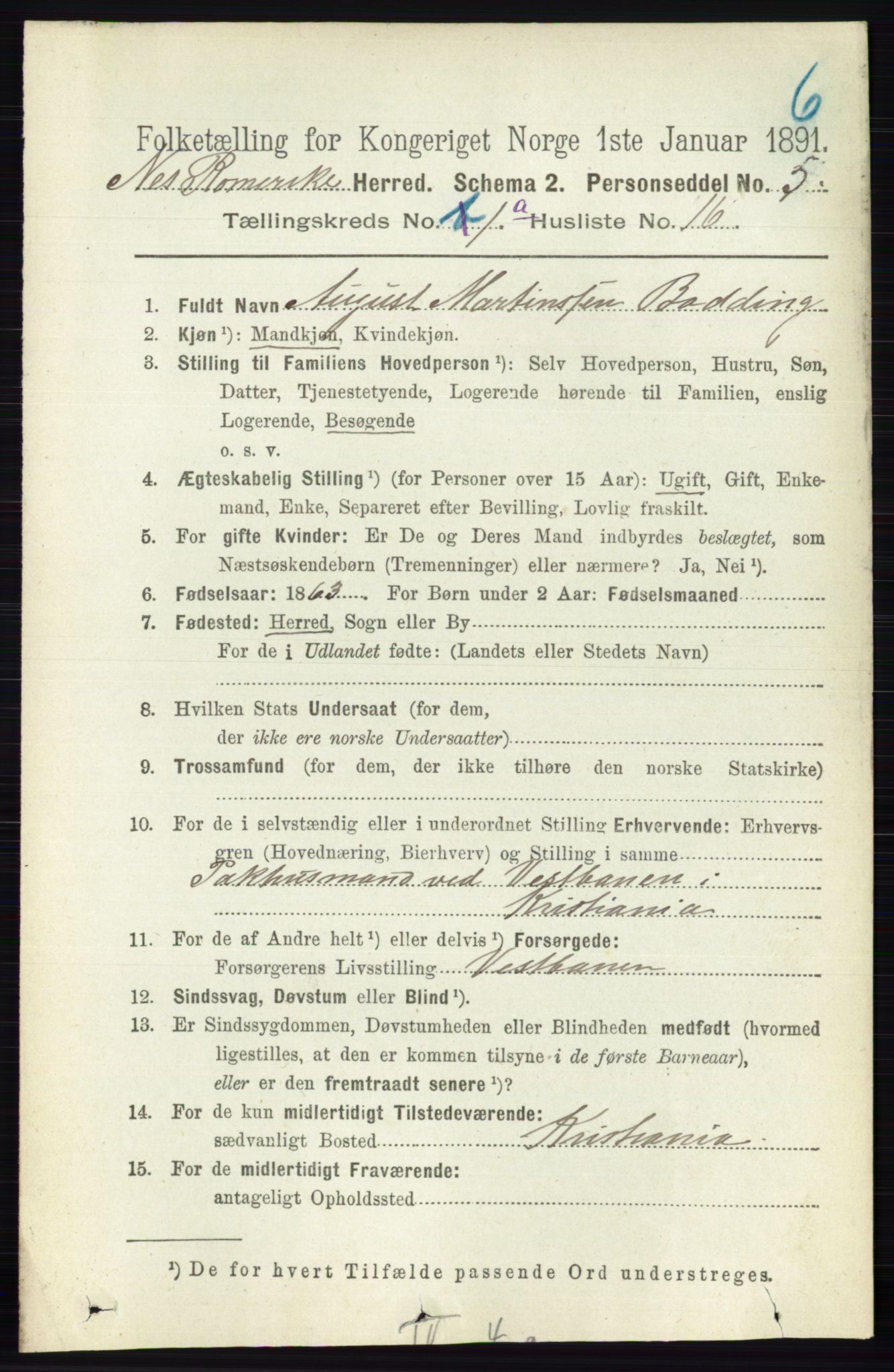 RA, 1891 census for 0236 Nes, 1891, p. 213