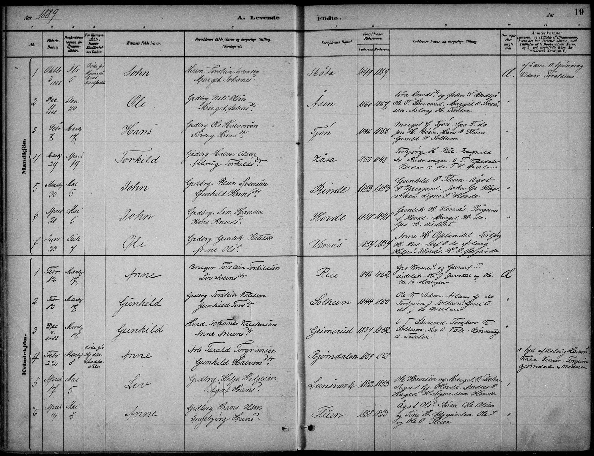 Hjartdal kirkebøker, SAKO/A-270/F/Fc/L0002: Parish register (official) no. III 2, 1880-1936, p. 19