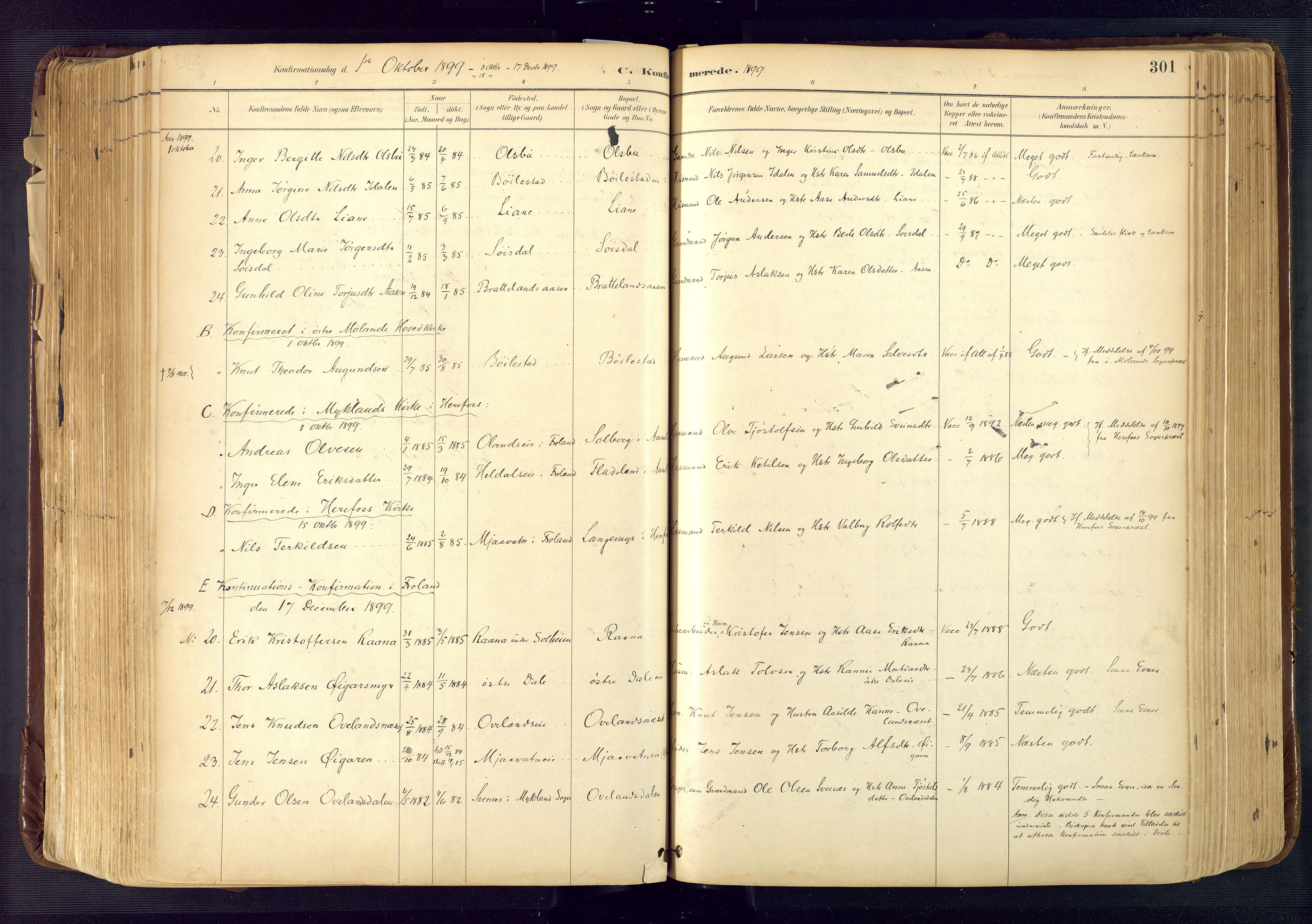 Froland sokneprestkontor, AV/SAK-1111-0013/F/Fa/L0005: Parish register (official) no. A 5, 1882-1921, p. 301