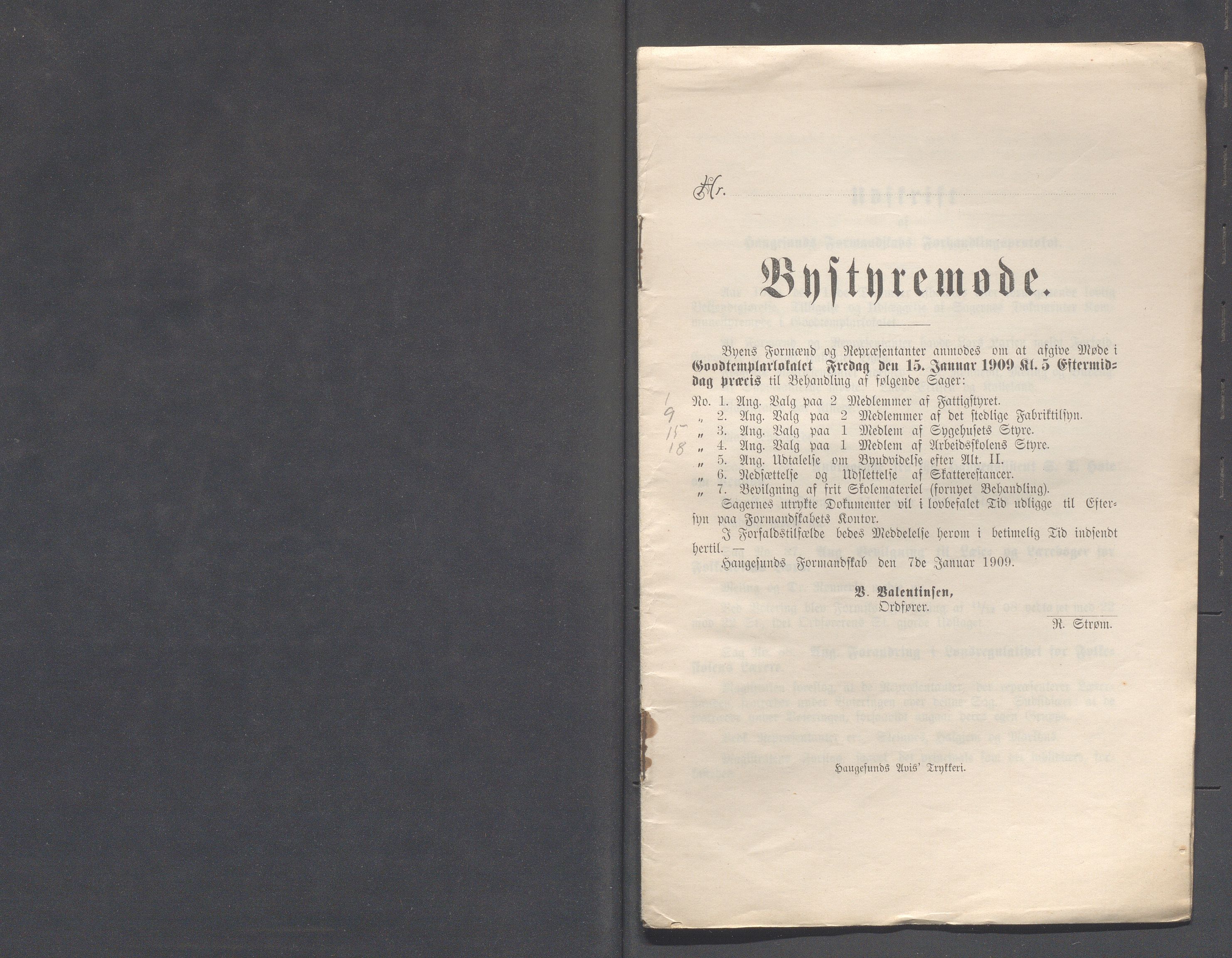 Haugesund kommune - Formannskapet og Bystyret, IKAR/A-740/A/Abb/L0002: Bystyreforhandlinger, 1908-1917, p. 196