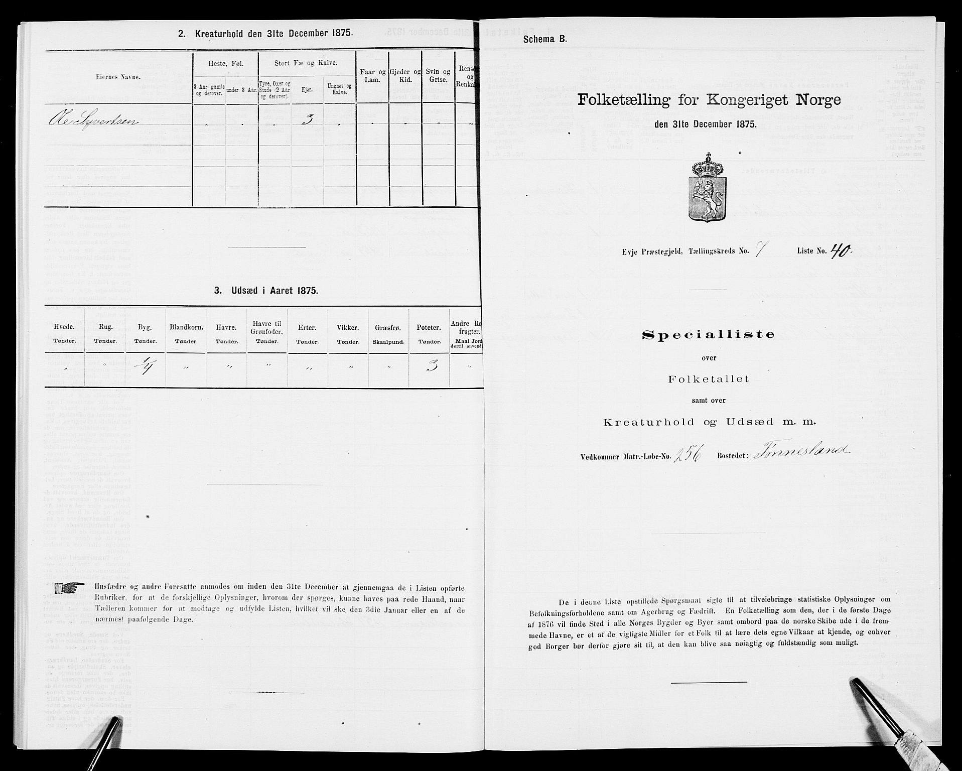 SAK, 1875 census for 0934P Evje, 1875, p. 665