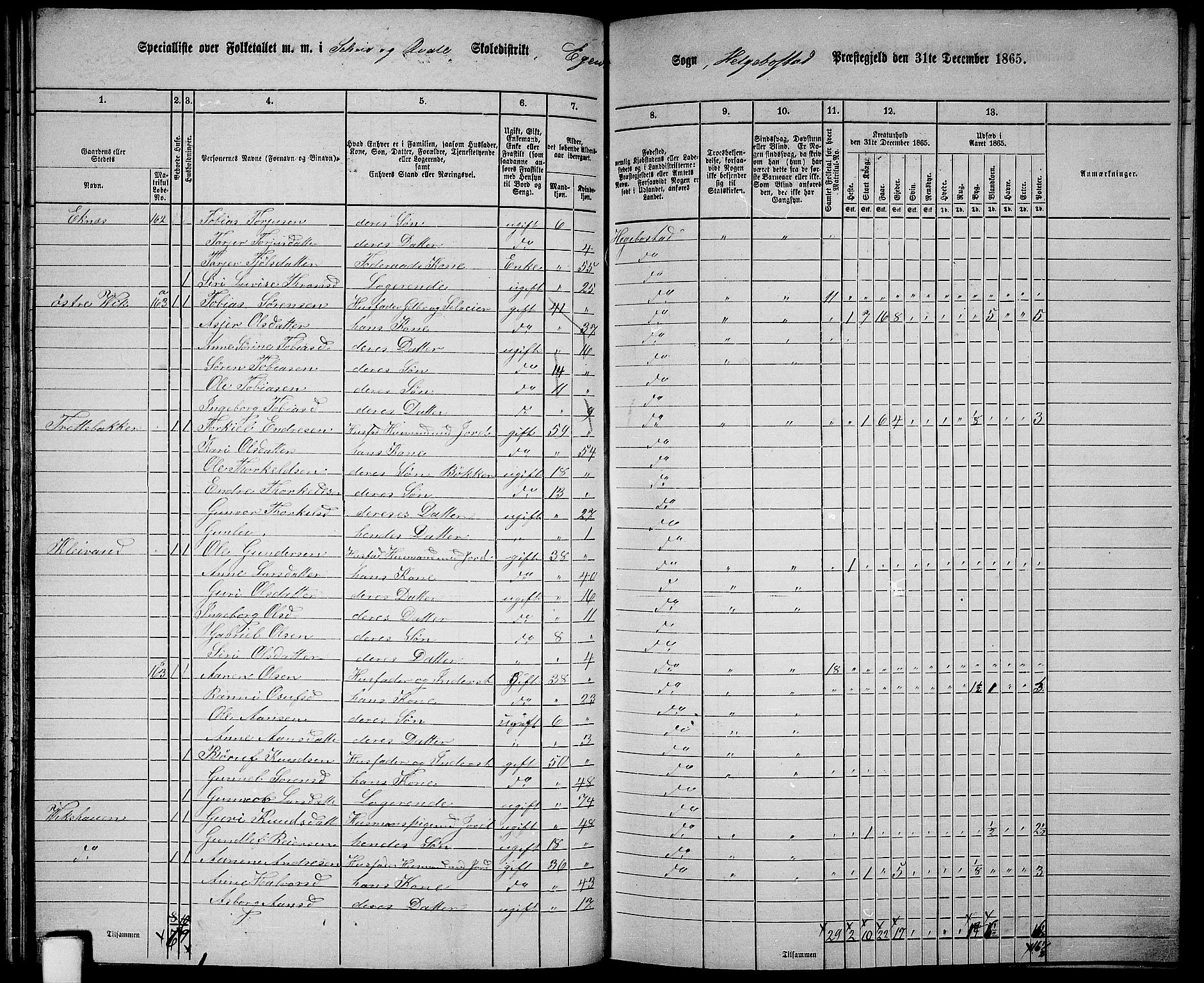 RA, 1865 census for Hægebostad, 1865, p. 60