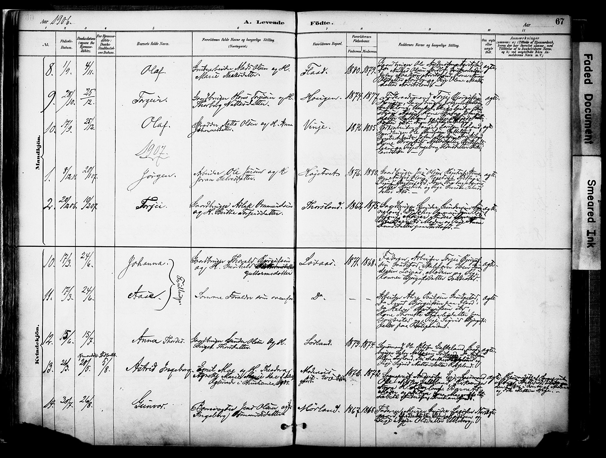 Evje sokneprestkontor, AV/SAK-1111-0008/F/Fa/Faa/L0007: Parish register (official) no. A 7, 1884-1909, p. 67