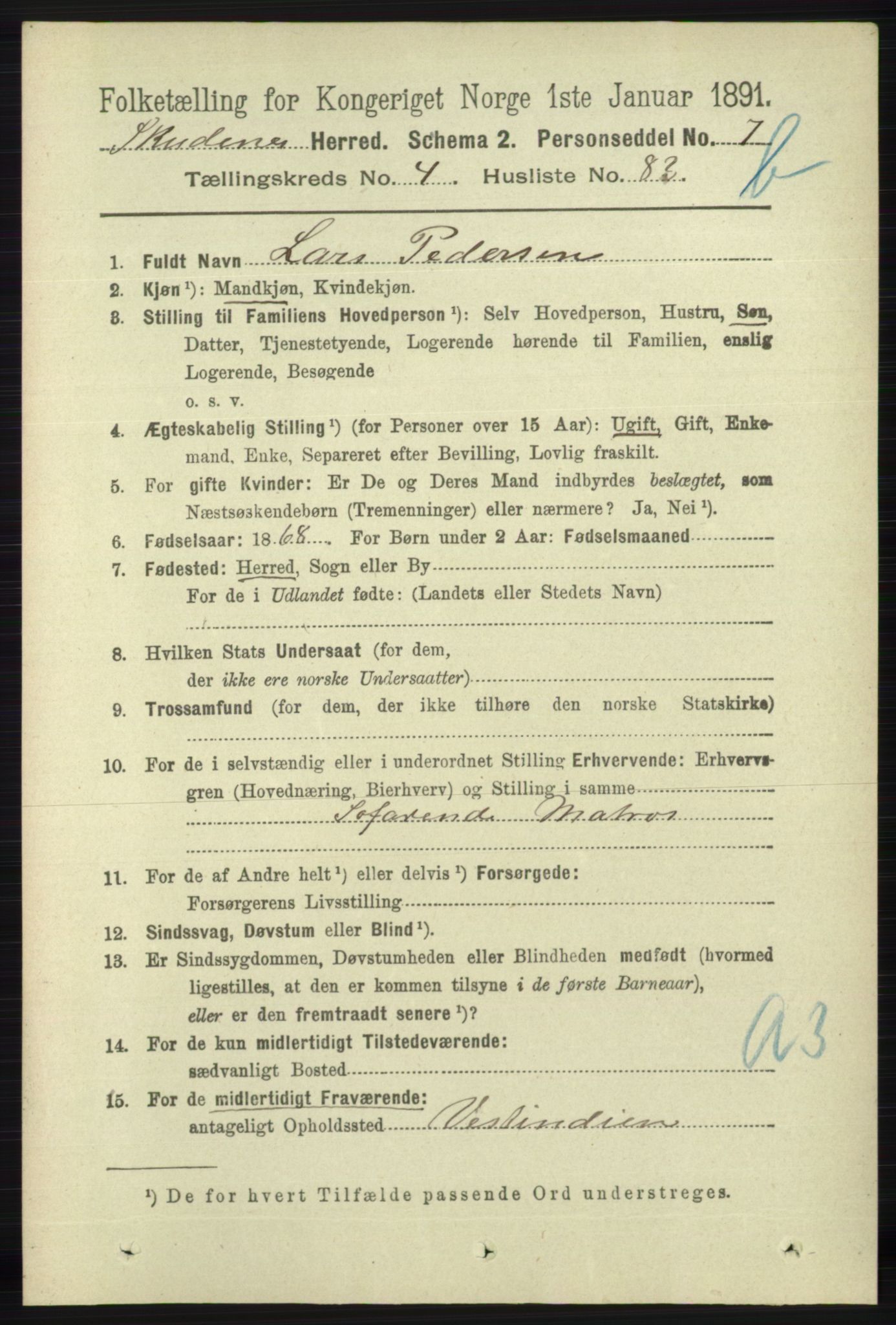 RA, 1891 census for 1150 Skudenes, 1891, p. 5016