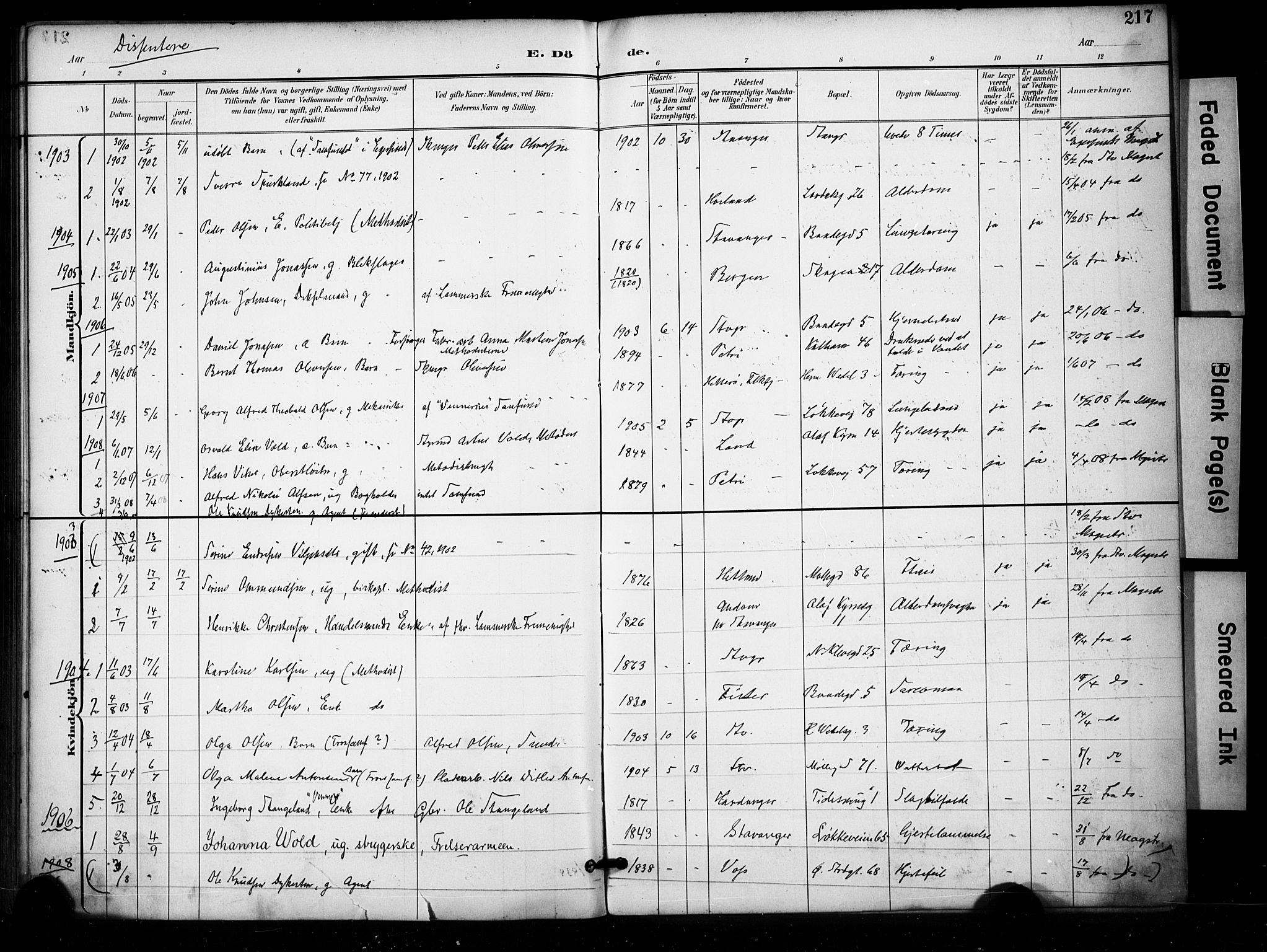 Domkirken sokneprestkontor, SAST/A-101812/001/30/30BA/L0032: Parish register (official) no. A 31, 1896-1917, p. 217