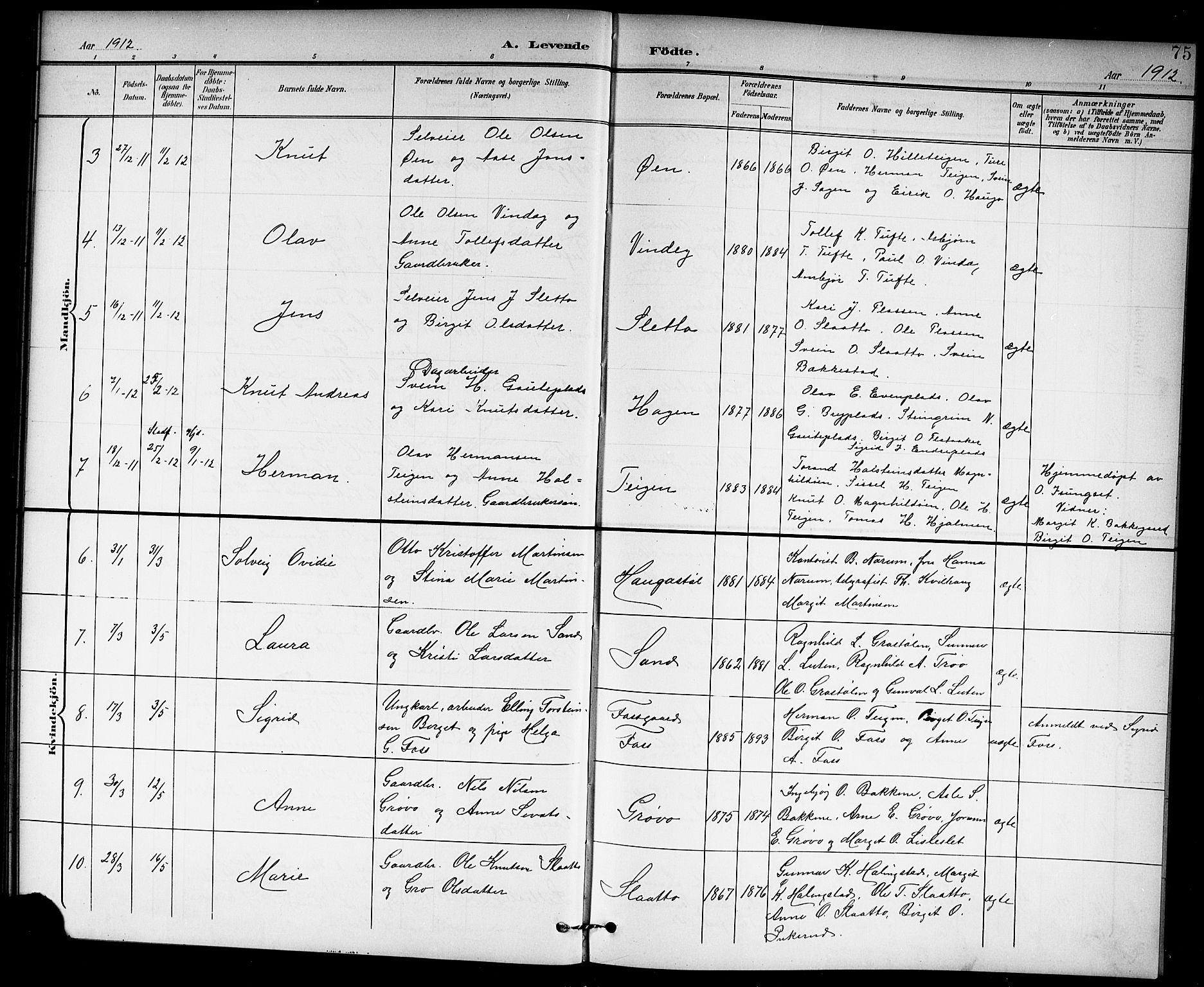 Hol kirkebøker, AV/SAKO-A-227/G/Ga/L0001: Parish register (copy) no. I 1, 1900-1919, p. 75