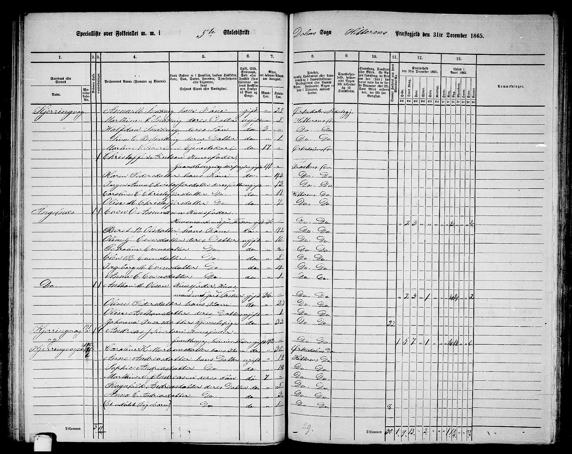 RA, 1865 census for Hitra, 1865, p. 119