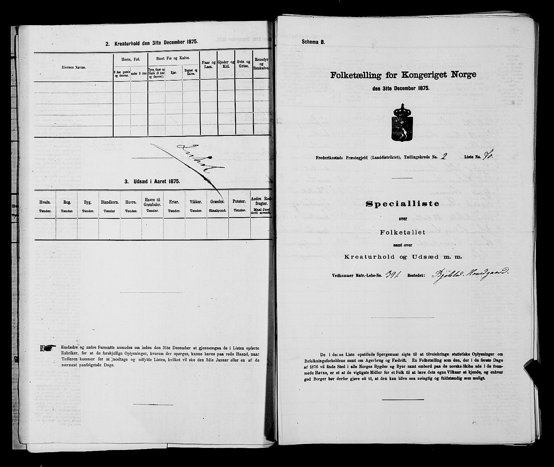 RA, 1875 census for 0132L Fredrikstad/Glemmen, 1875, p. 250