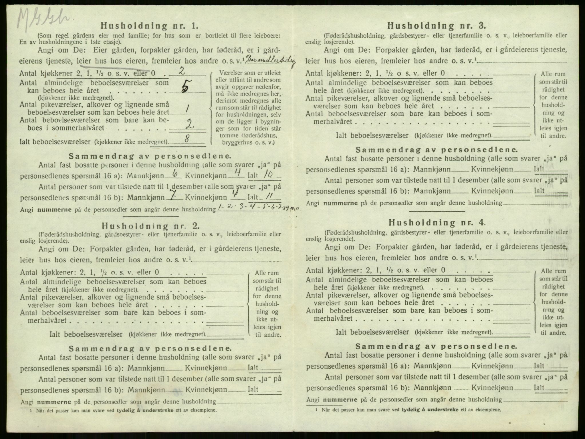 SAKO, 1920 census for Våle, 1920, p. 975