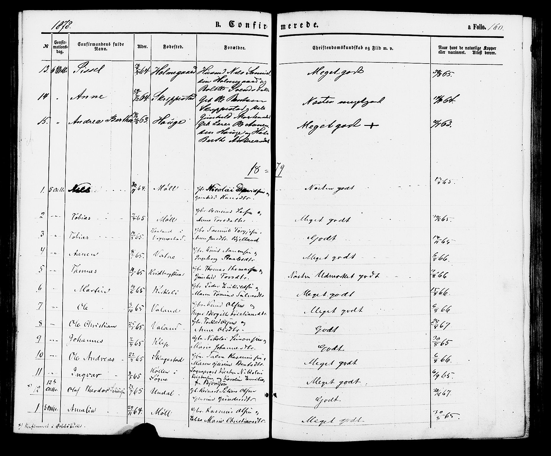 Holum sokneprestkontor, AV/SAK-1111-0022/F/Fa/Faa/L0006: Parish register (official) no. A 6, 1865-1883, p. 160