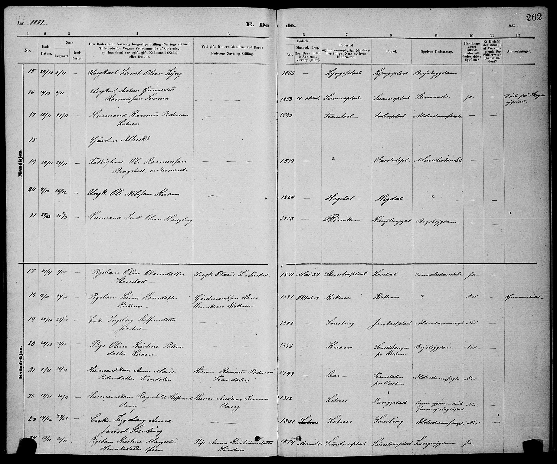 Ministerialprotokoller, klokkerbøker og fødselsregistre - Nord-Trøndelag, AV/SAT-A-1458/730/L0301: Parish register (copy) no. 730C04, 1880-1897, p. 262